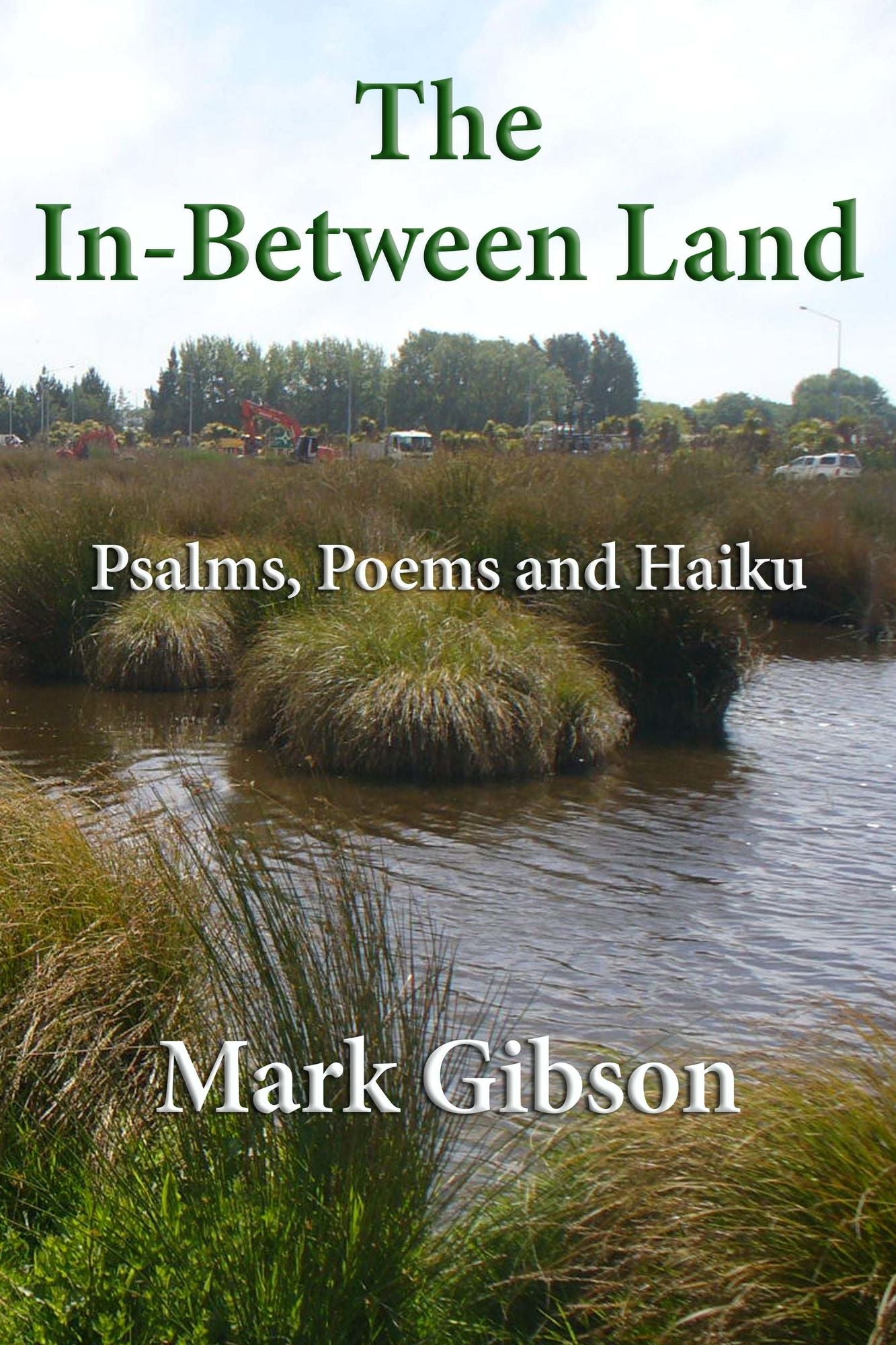 The In-Between Land: Psalms, Poems and Haiku