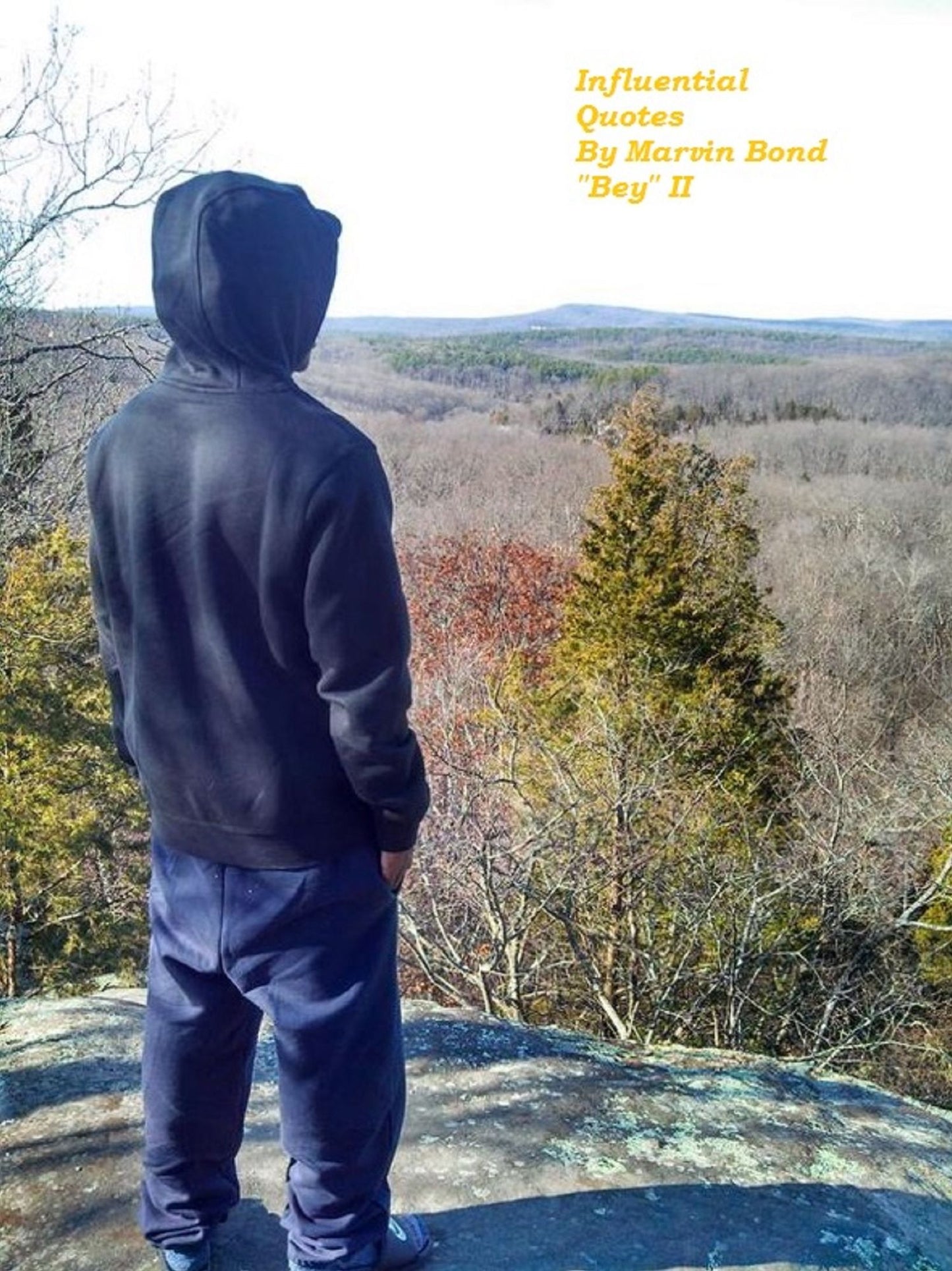 Influential Quotes by Marvin Bond "Bey" II
