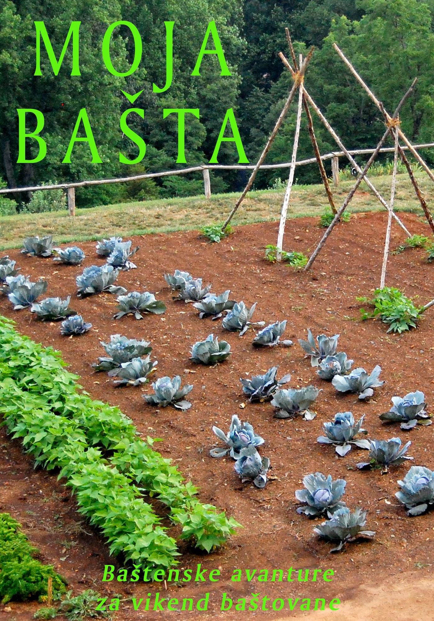 Moja basta