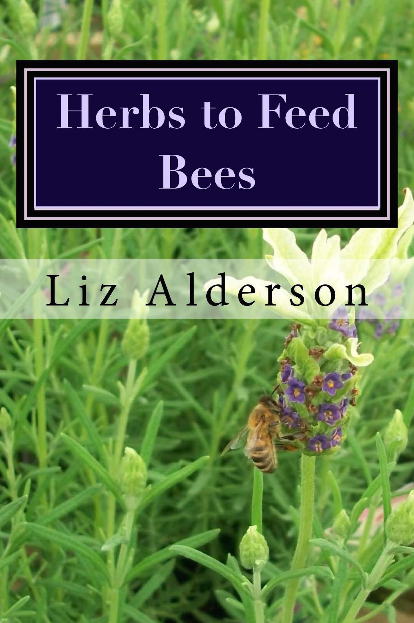 Herbs to Feed Bees