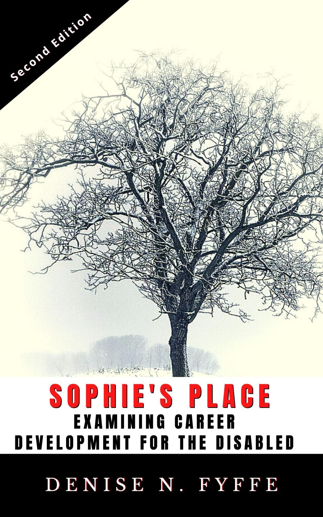 Sophie's Place: A Look At Career Development For The Disabled