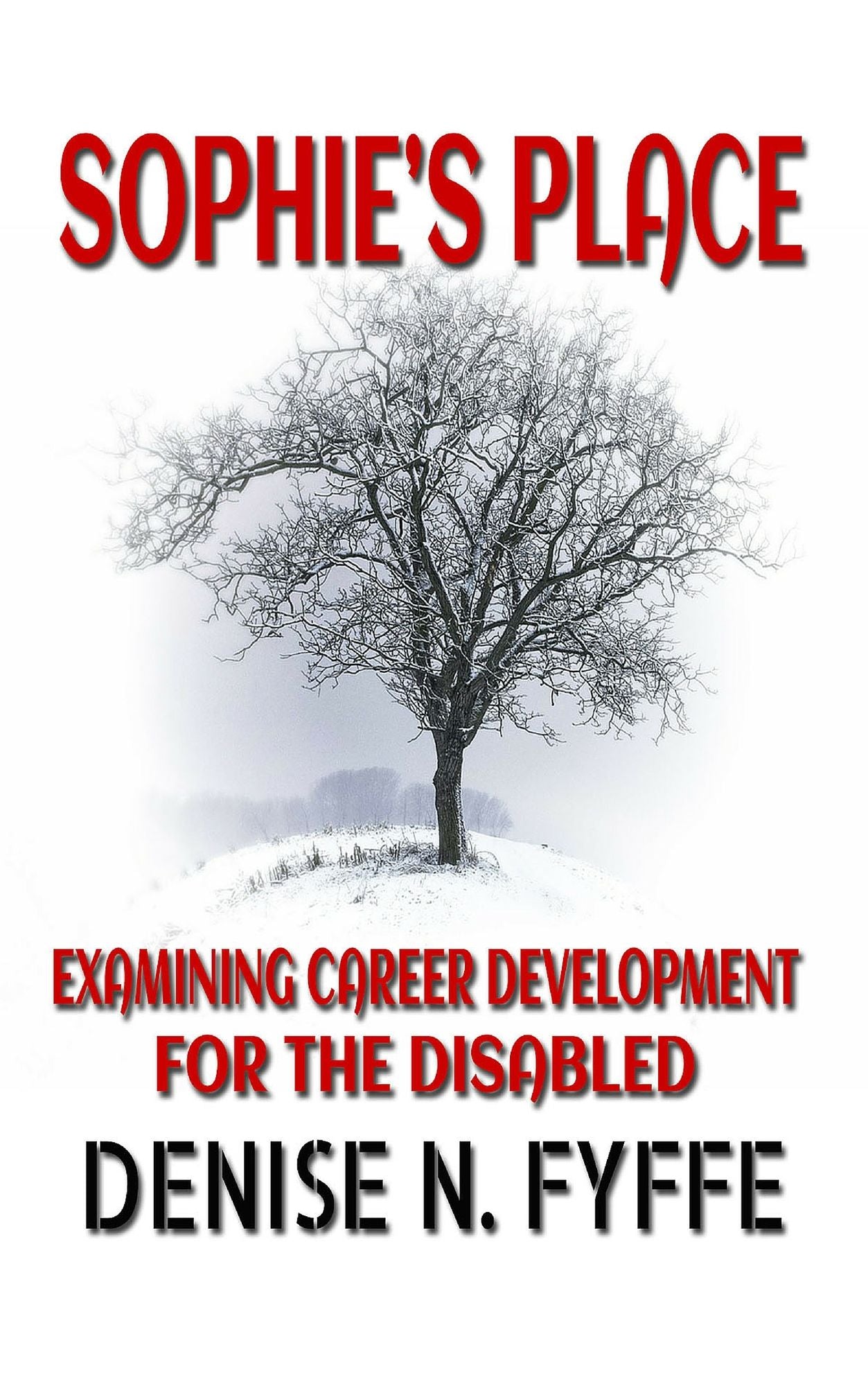 Sophie's Place: A Look At Career Development For The Disabled