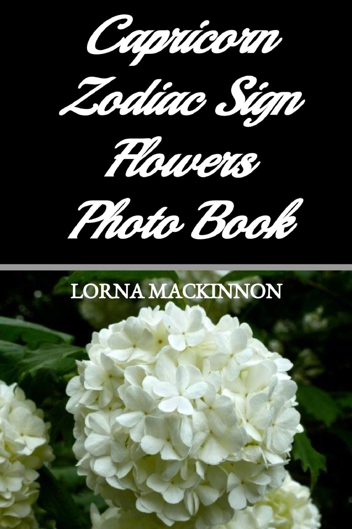 Capricorn Zodiac Sign Flowers Photo Book
