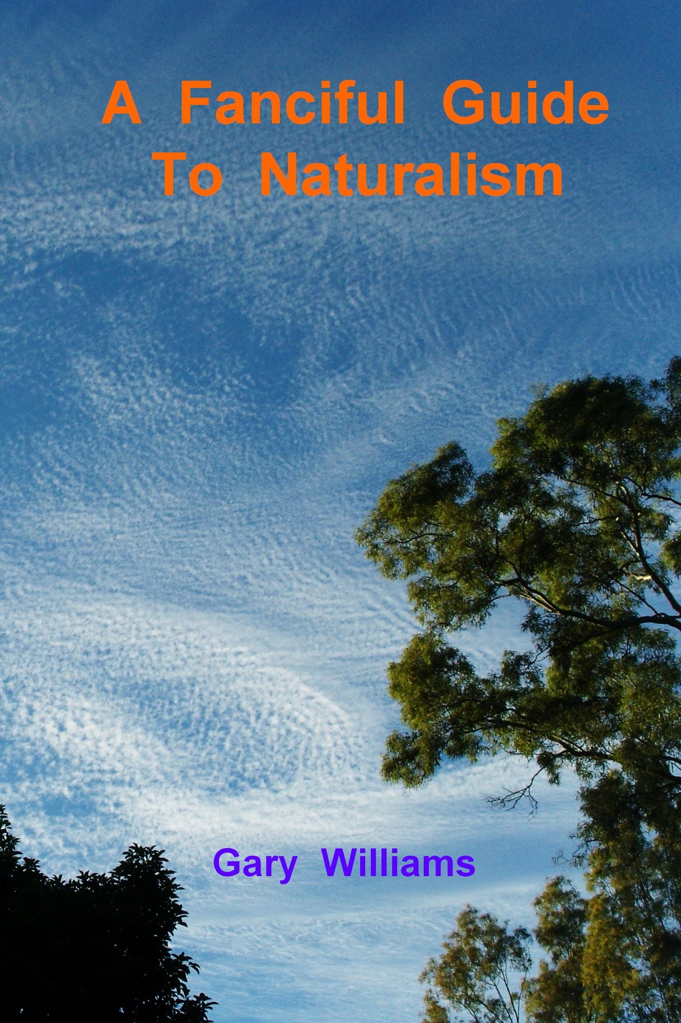 A Fanciful Guide to Naturalism