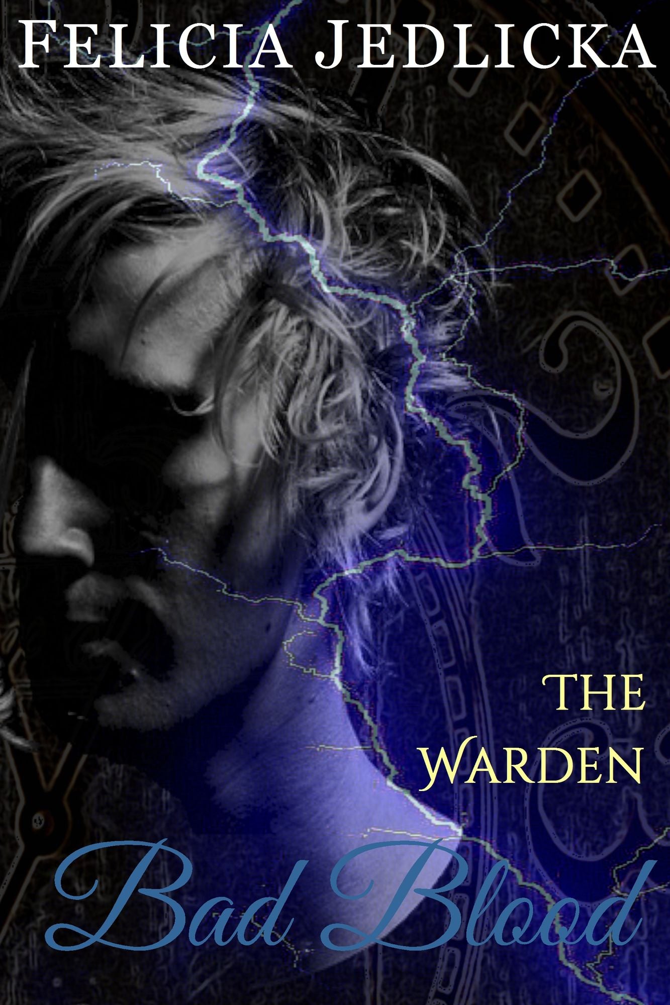 Bad Blood (Book 4 in The Warden)