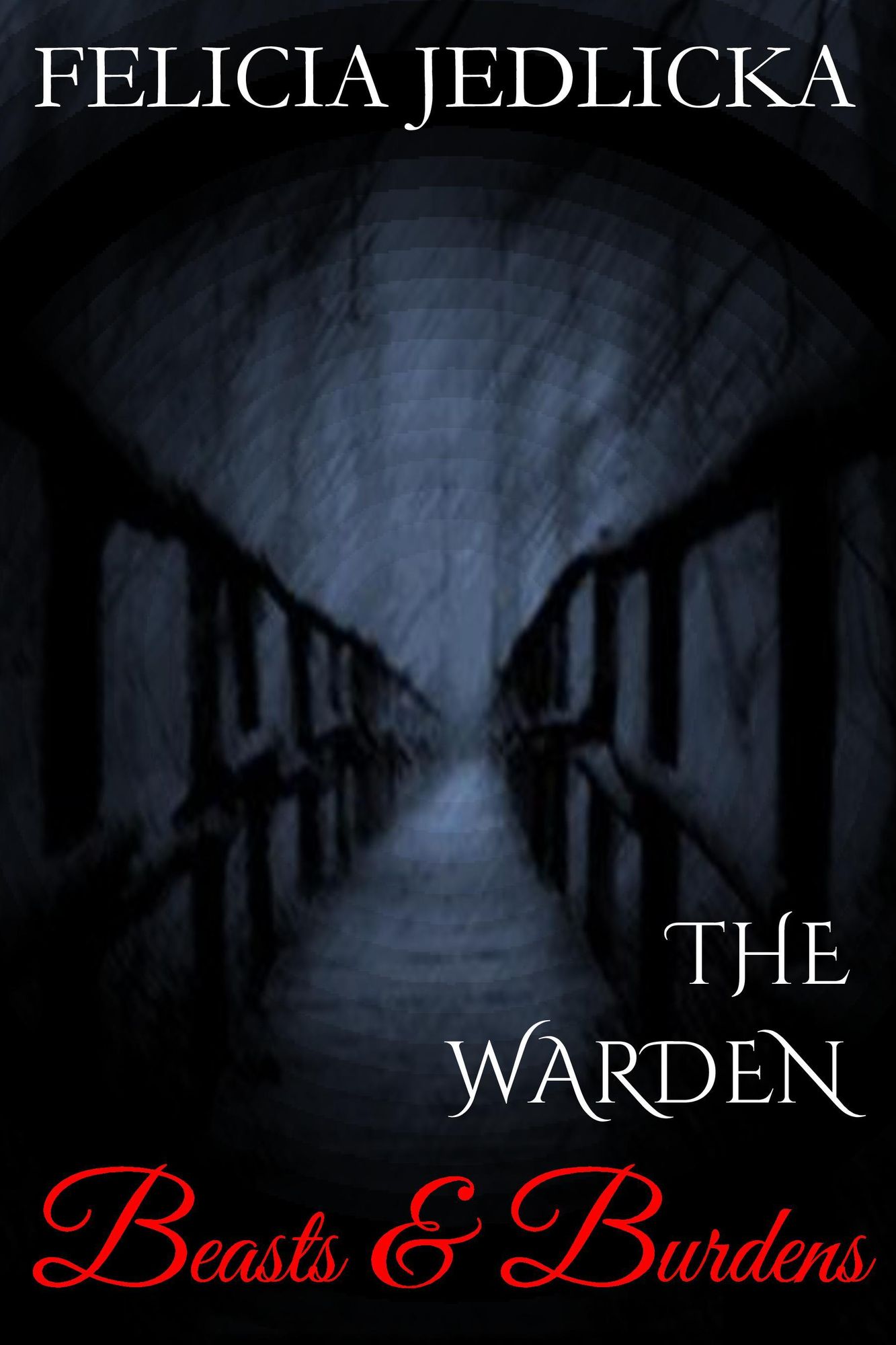 Beasts and Burdens (Book 8 of The Warden)