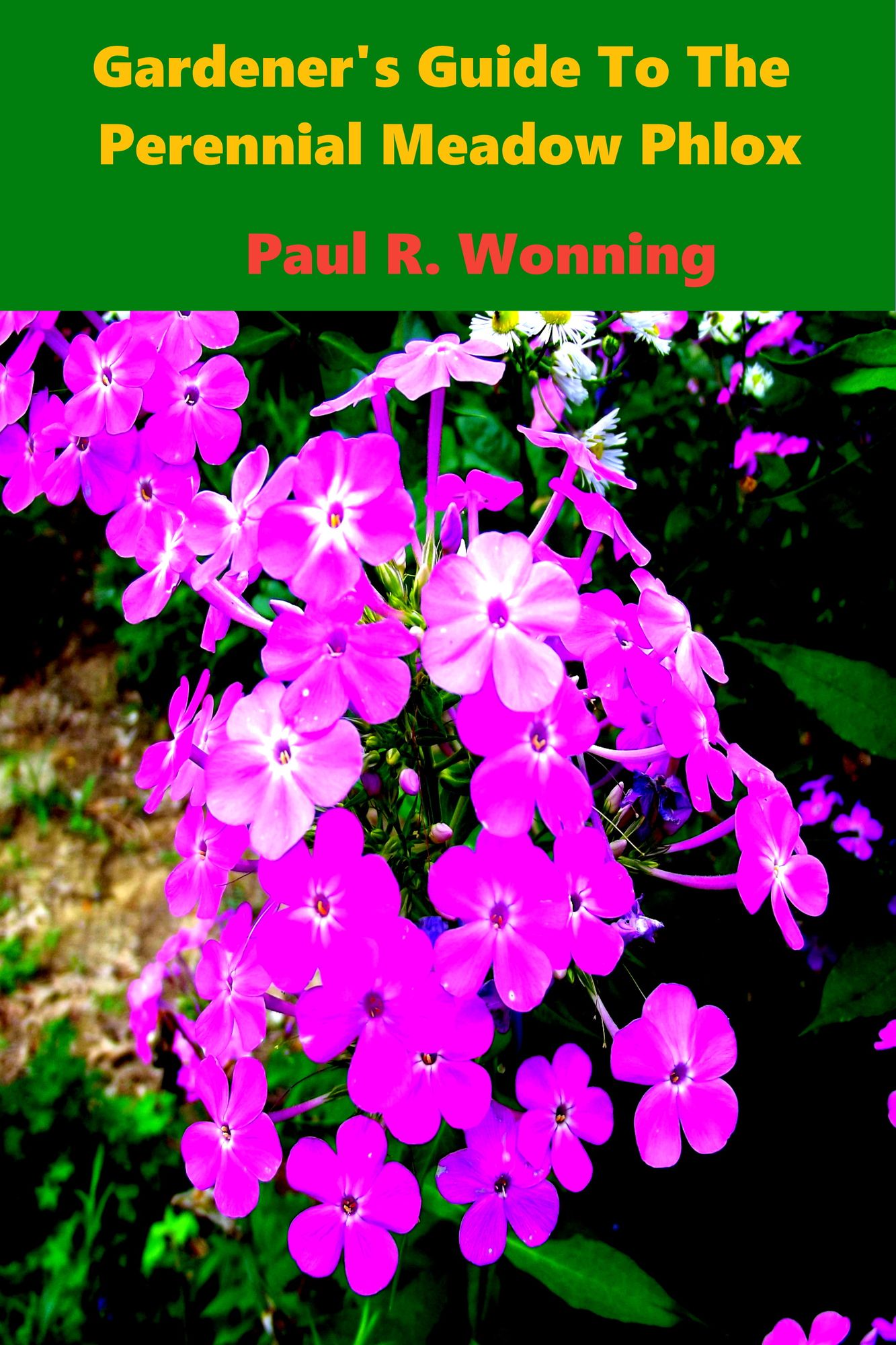 Gardener's Guide To The Perennial Meadow Phlox