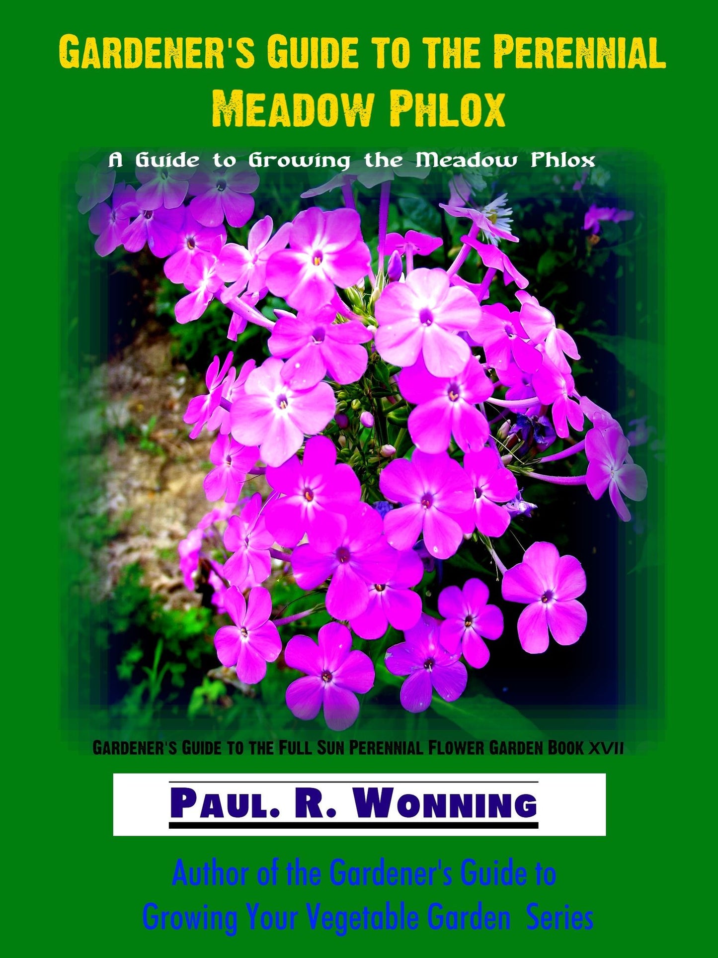 Gardener's Guide To The Perennial Meadow Phlox