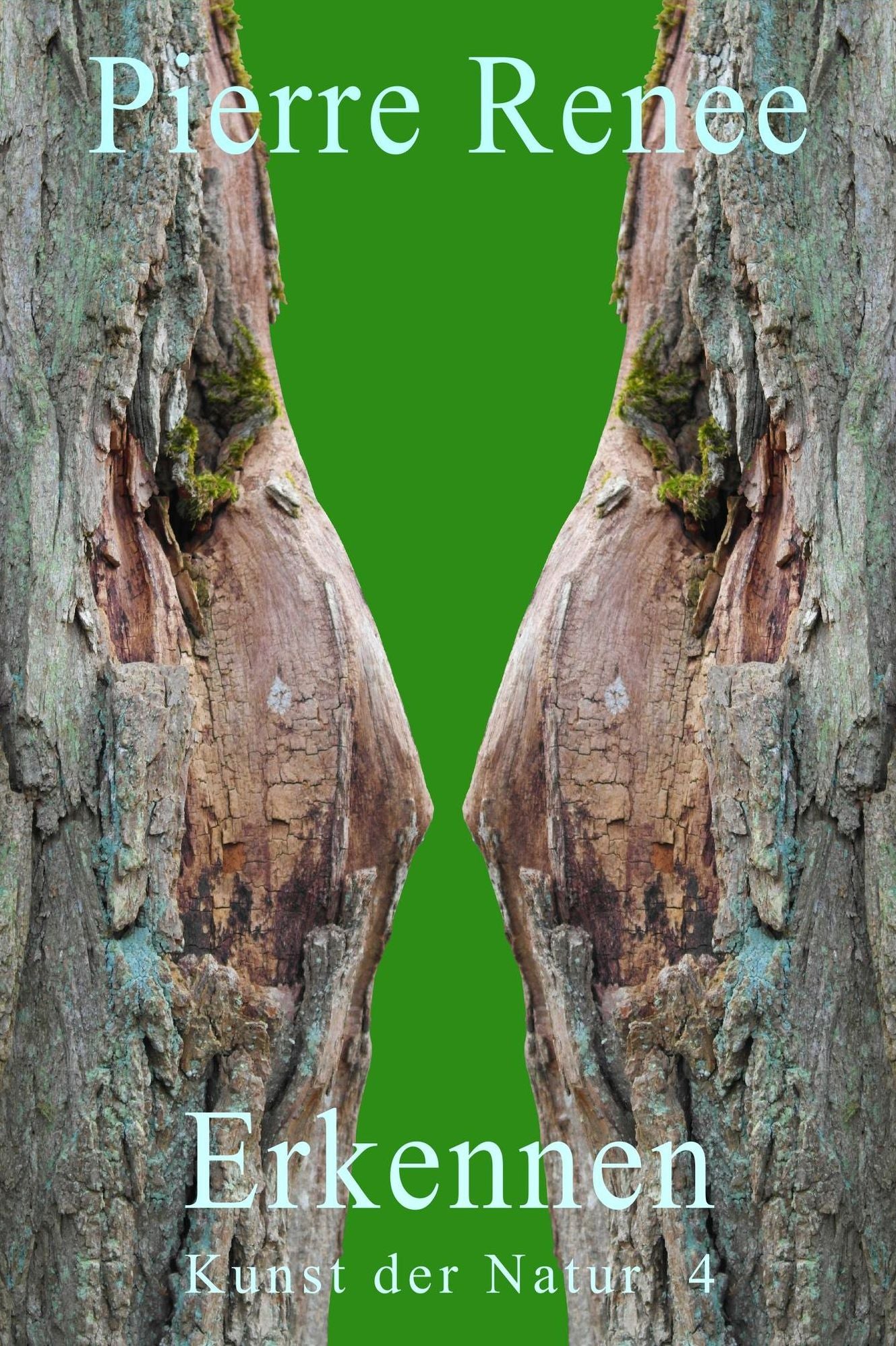 Erkennen (Kunst der Natur 4)