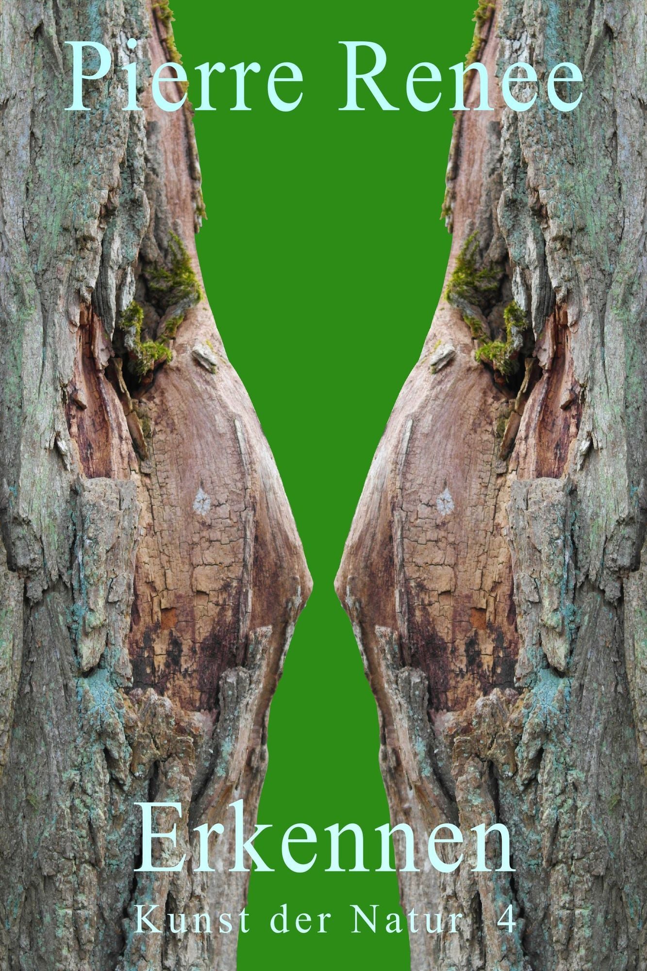 Erkennen (Kunst der Natur 4)