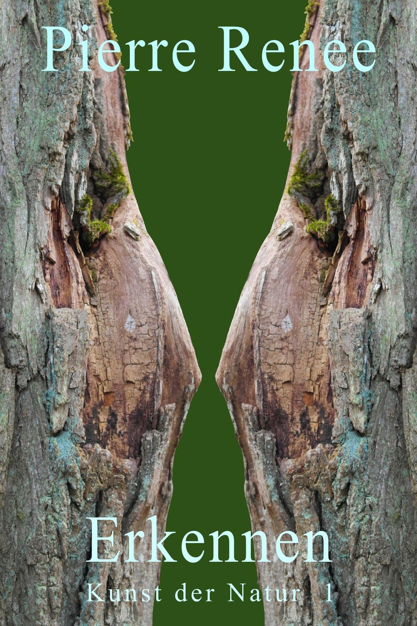 Erkennen (Kunst der Natur 1)