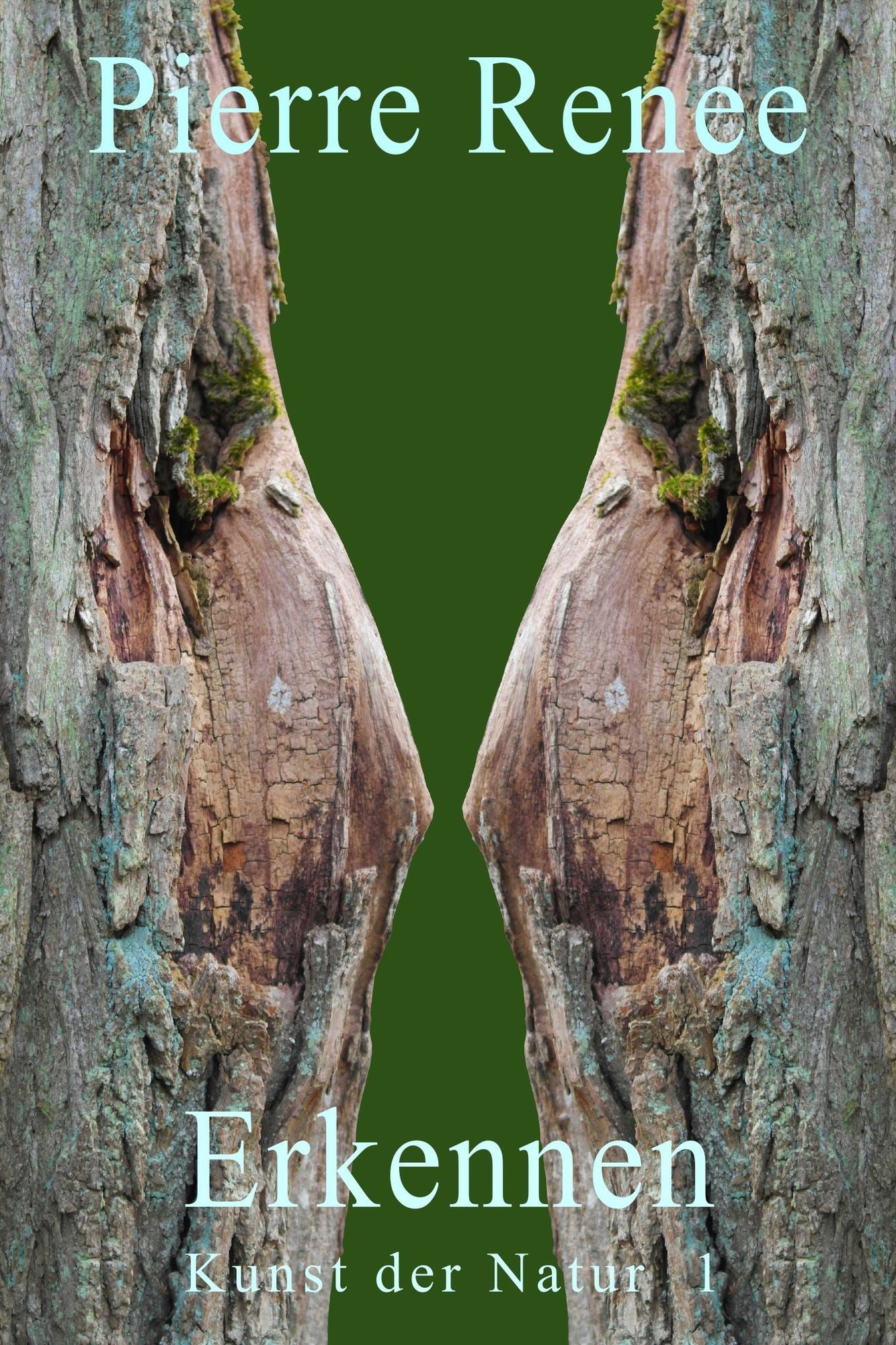 Erkennen (Kunst der Natur 1)