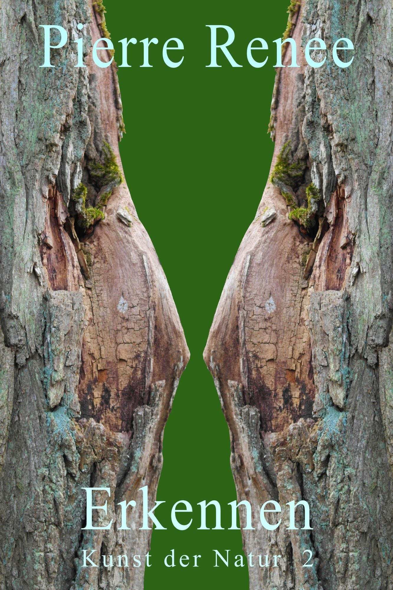 Erkennen (Kunst der Natur 2)