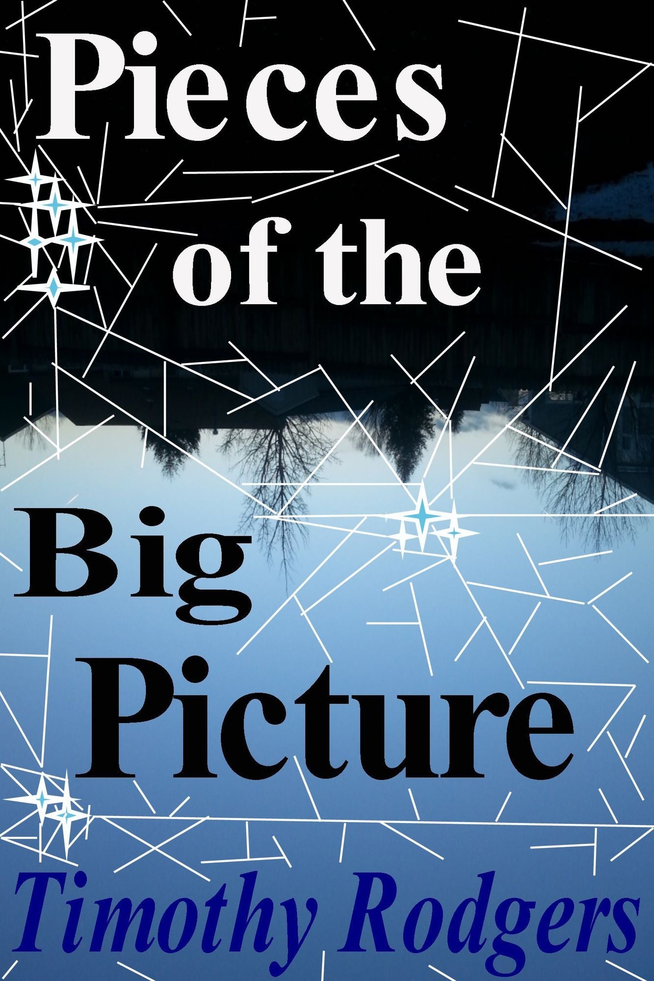 Pieces of the Big Picture: Poetry