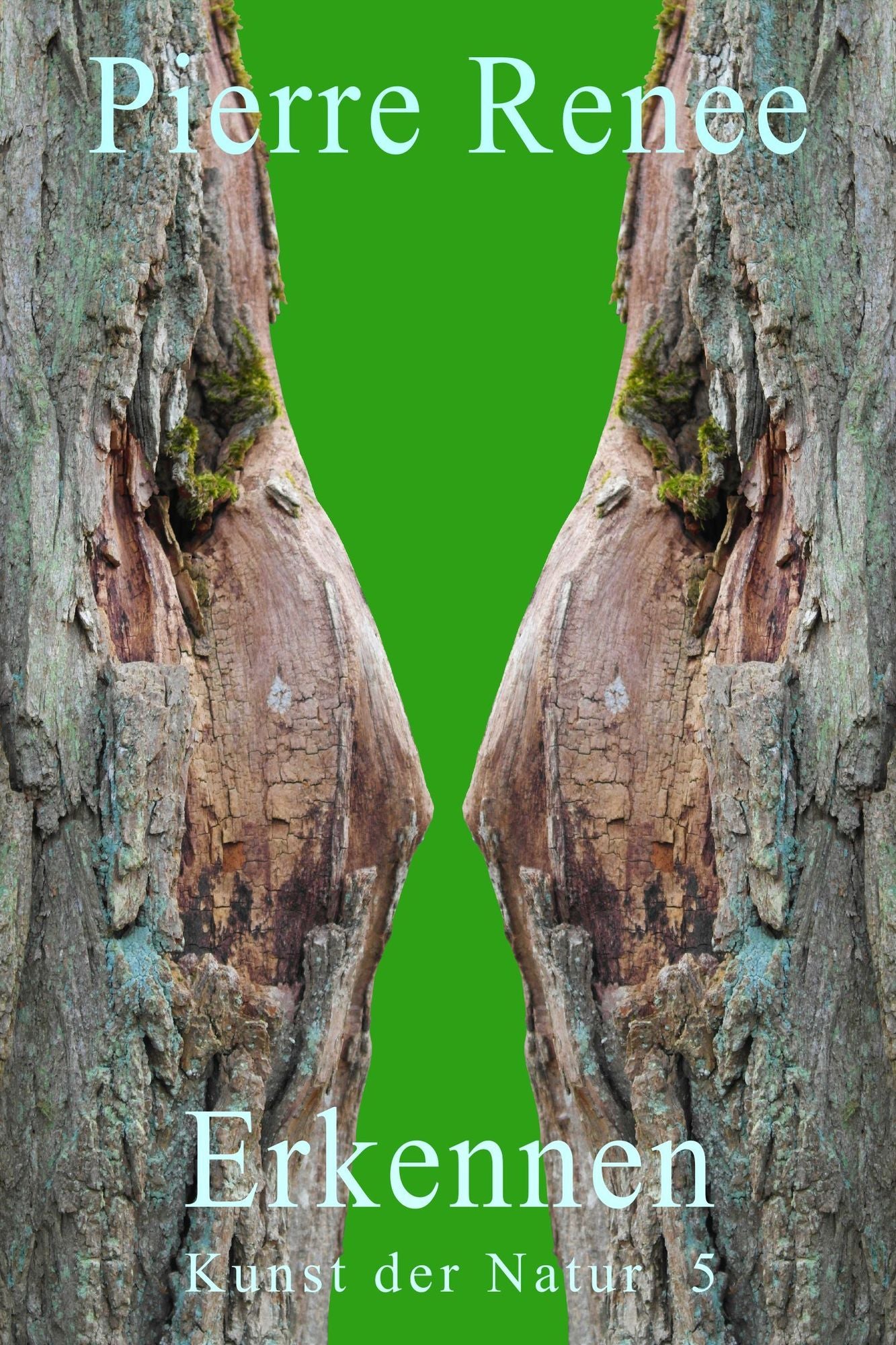 Erkennen (Kunst der Natur 5)