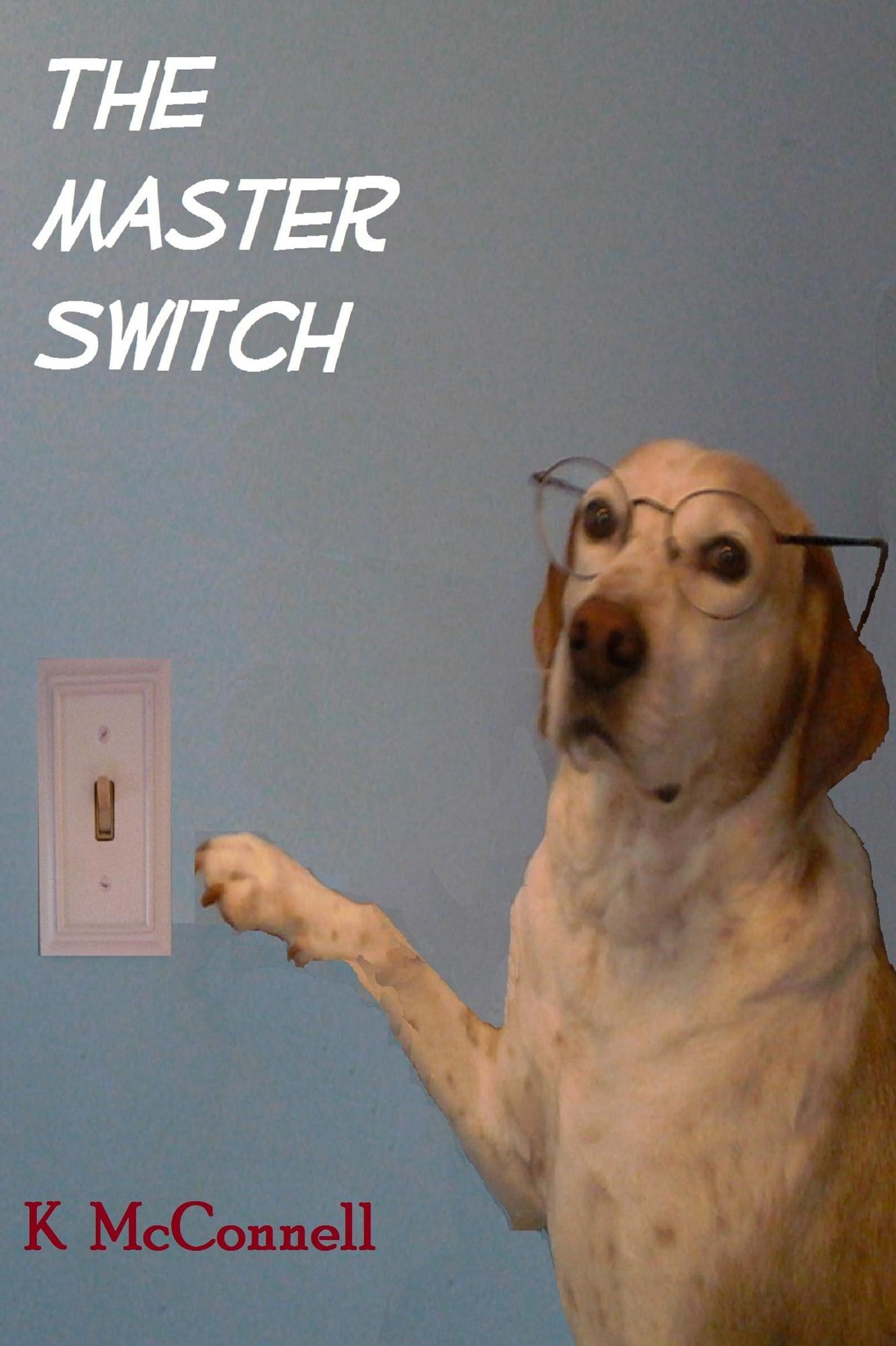 The Master Switch