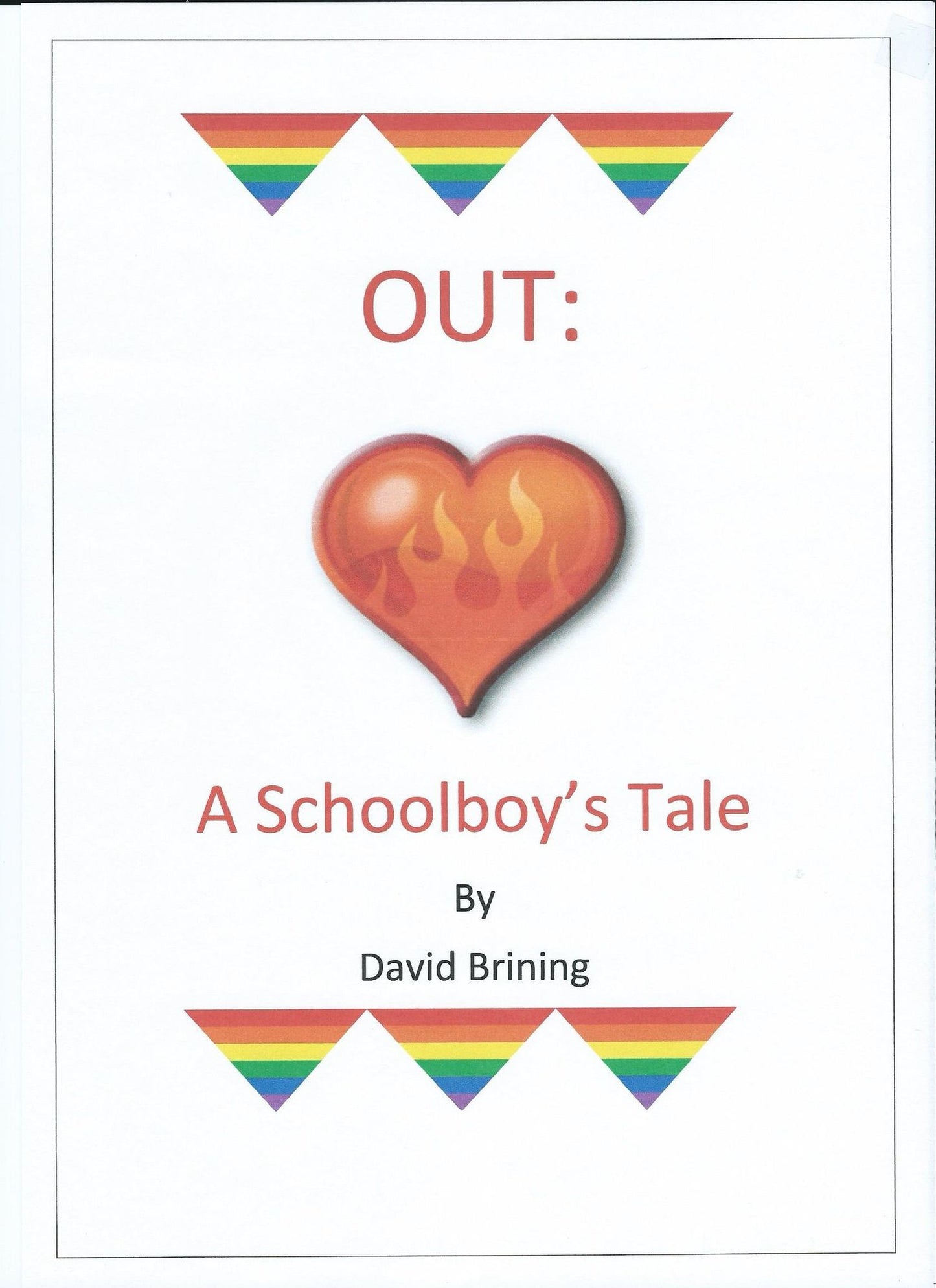 Out: A Schoolboy's Tale