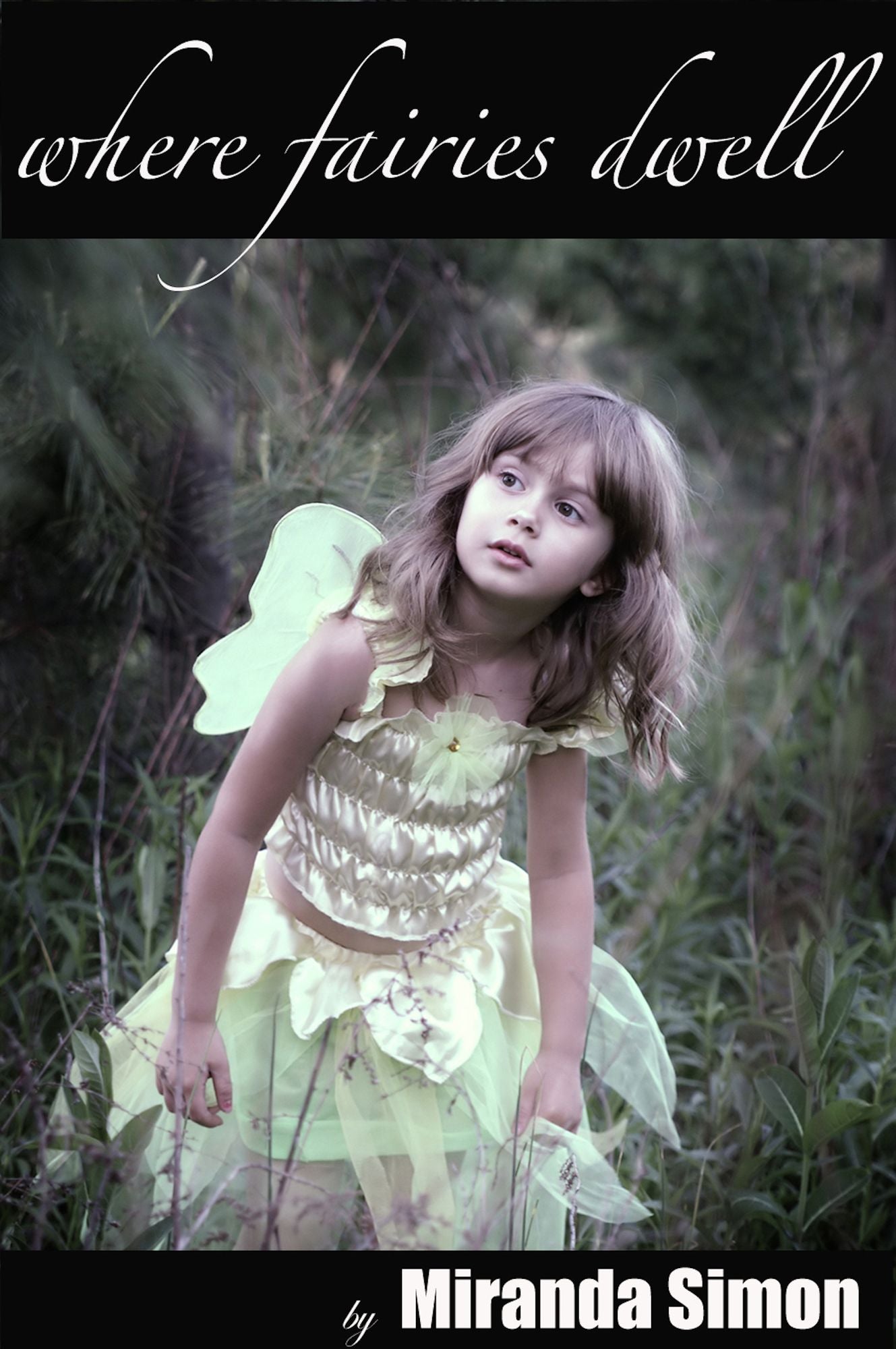 Where Fairies Dwell