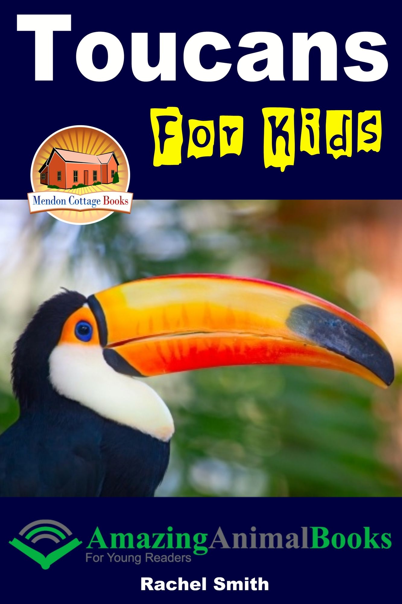 Toucans For Kids