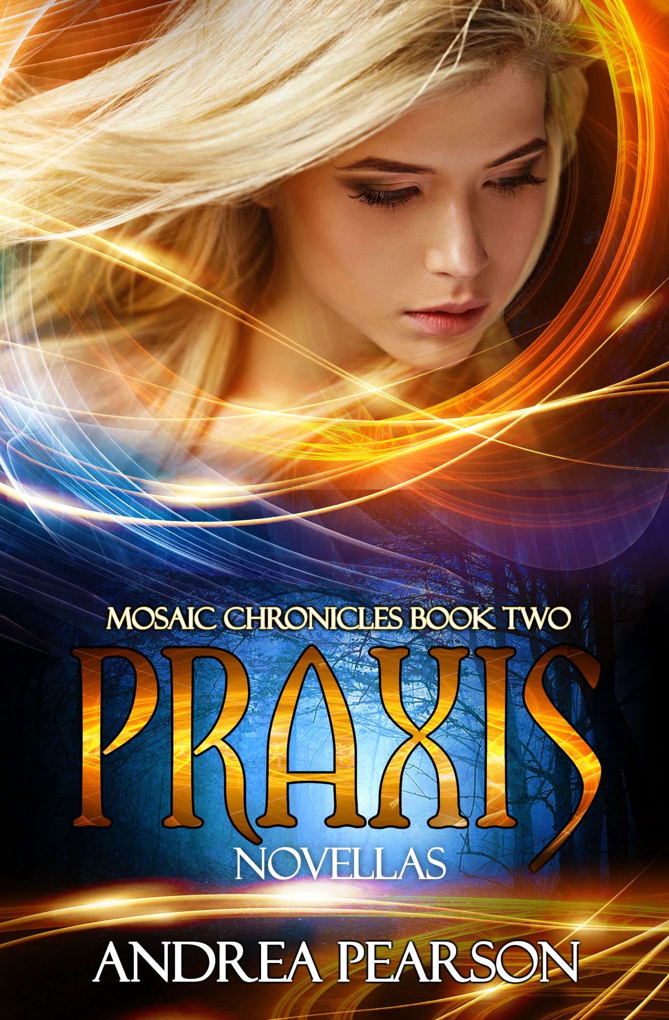 Praxis Novellas, Mosaic Chronicles Book Two