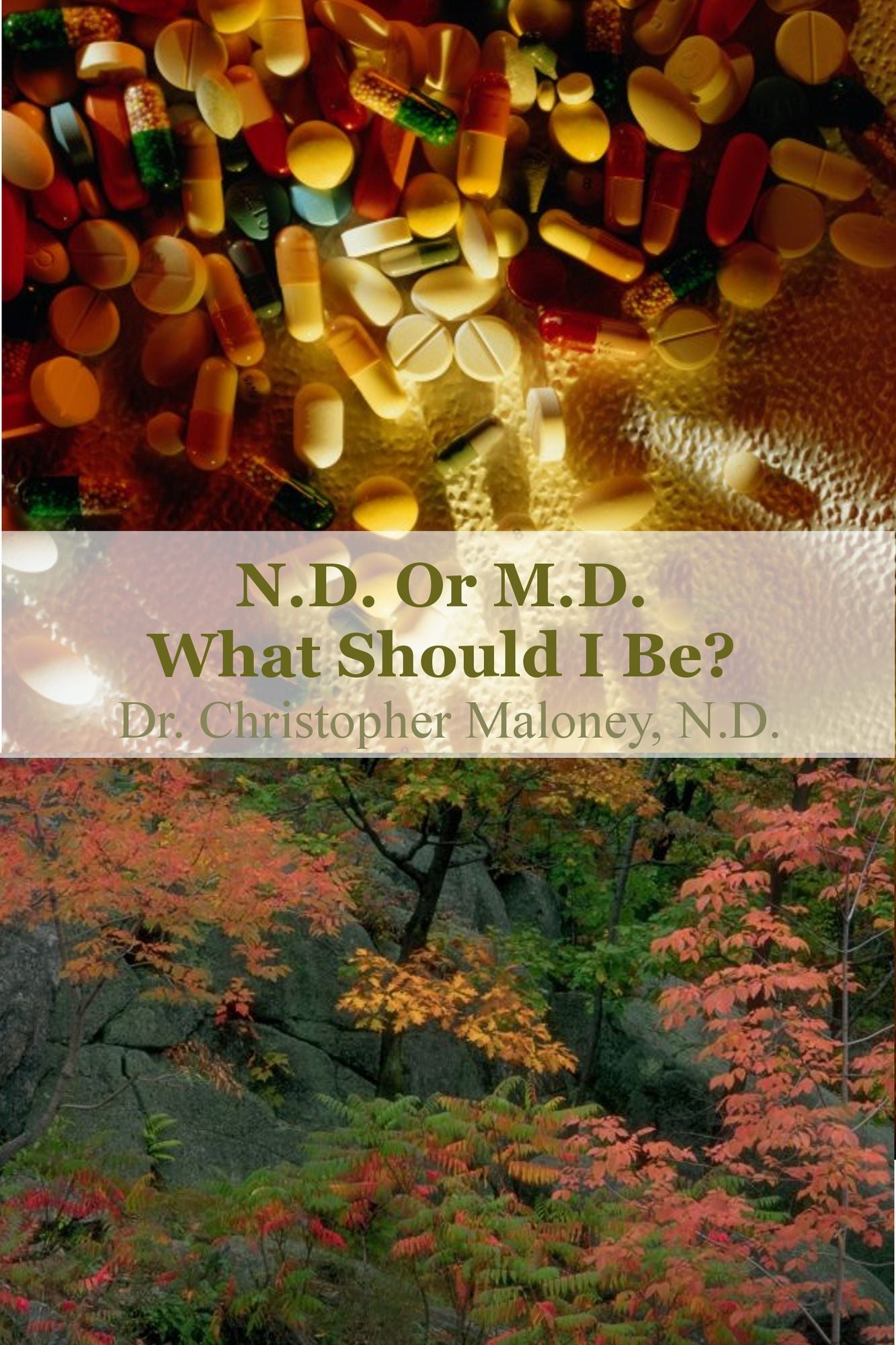 MD Or ND: What Should I Be?