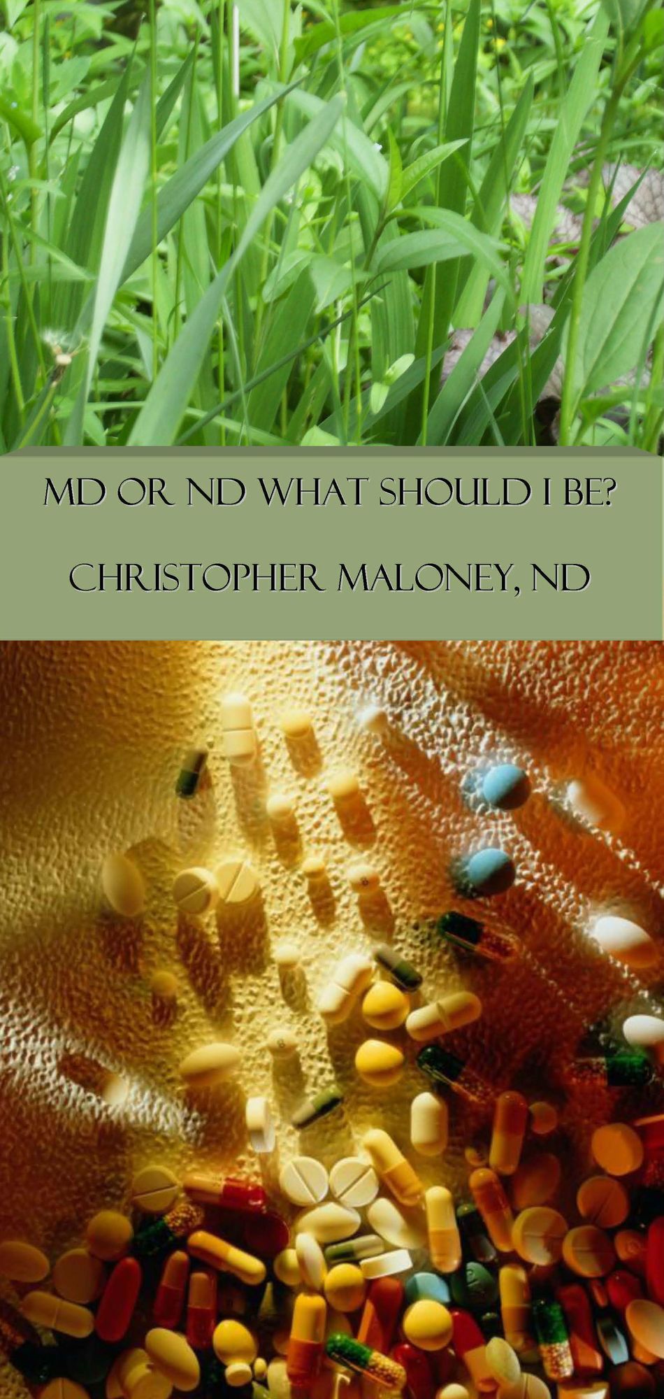 MD Or ND: What Should I Be?