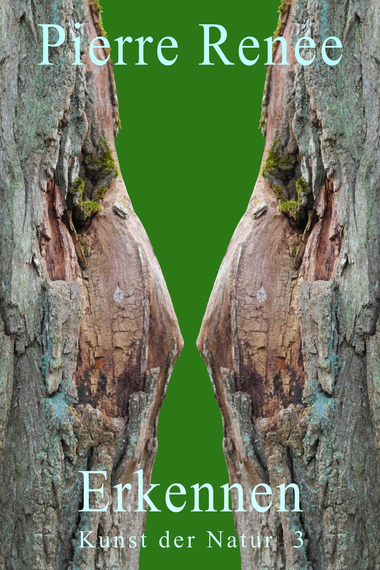 Erkennen (Kunst der Natur 3)