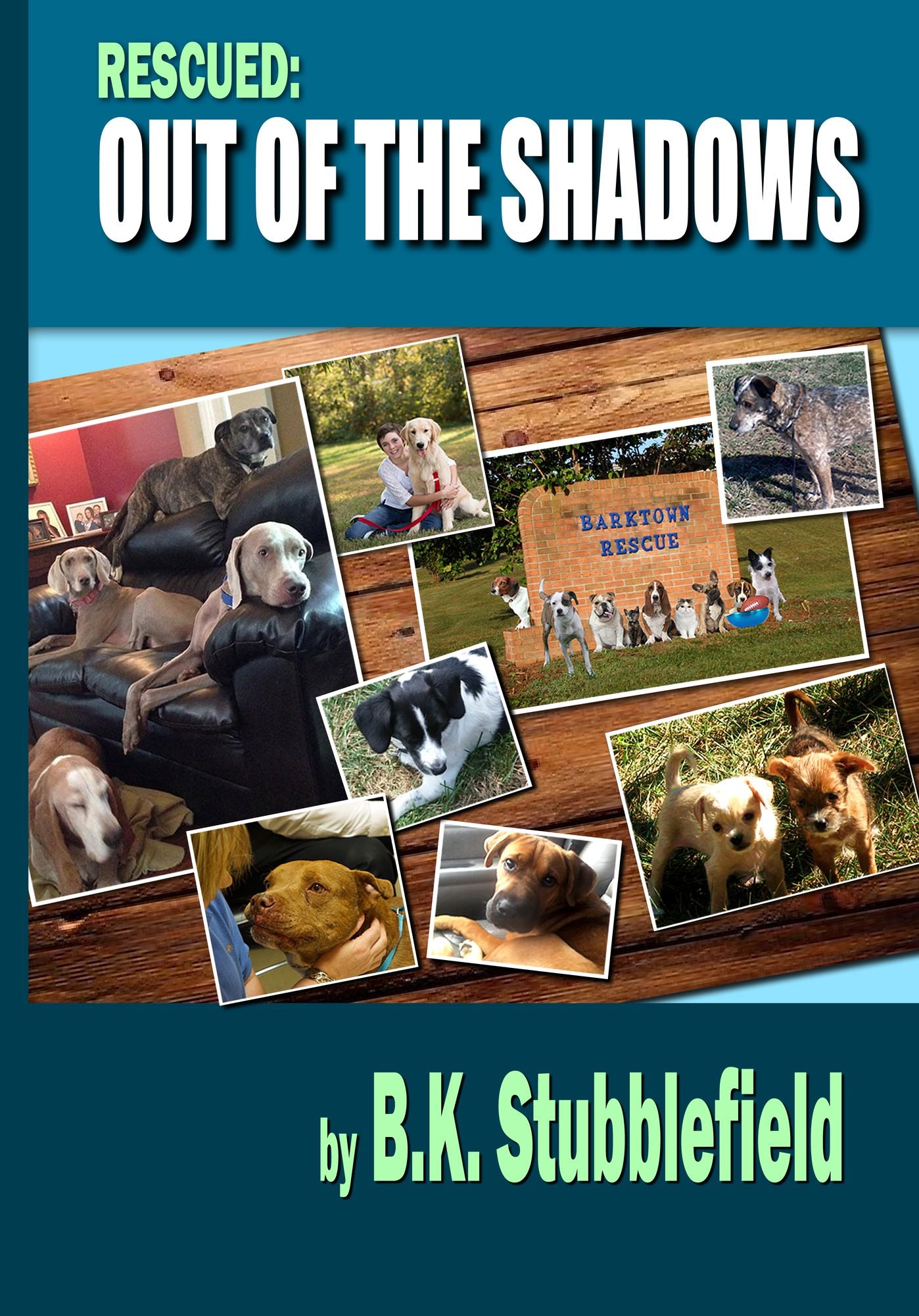 Rescued: Out of the Shadows