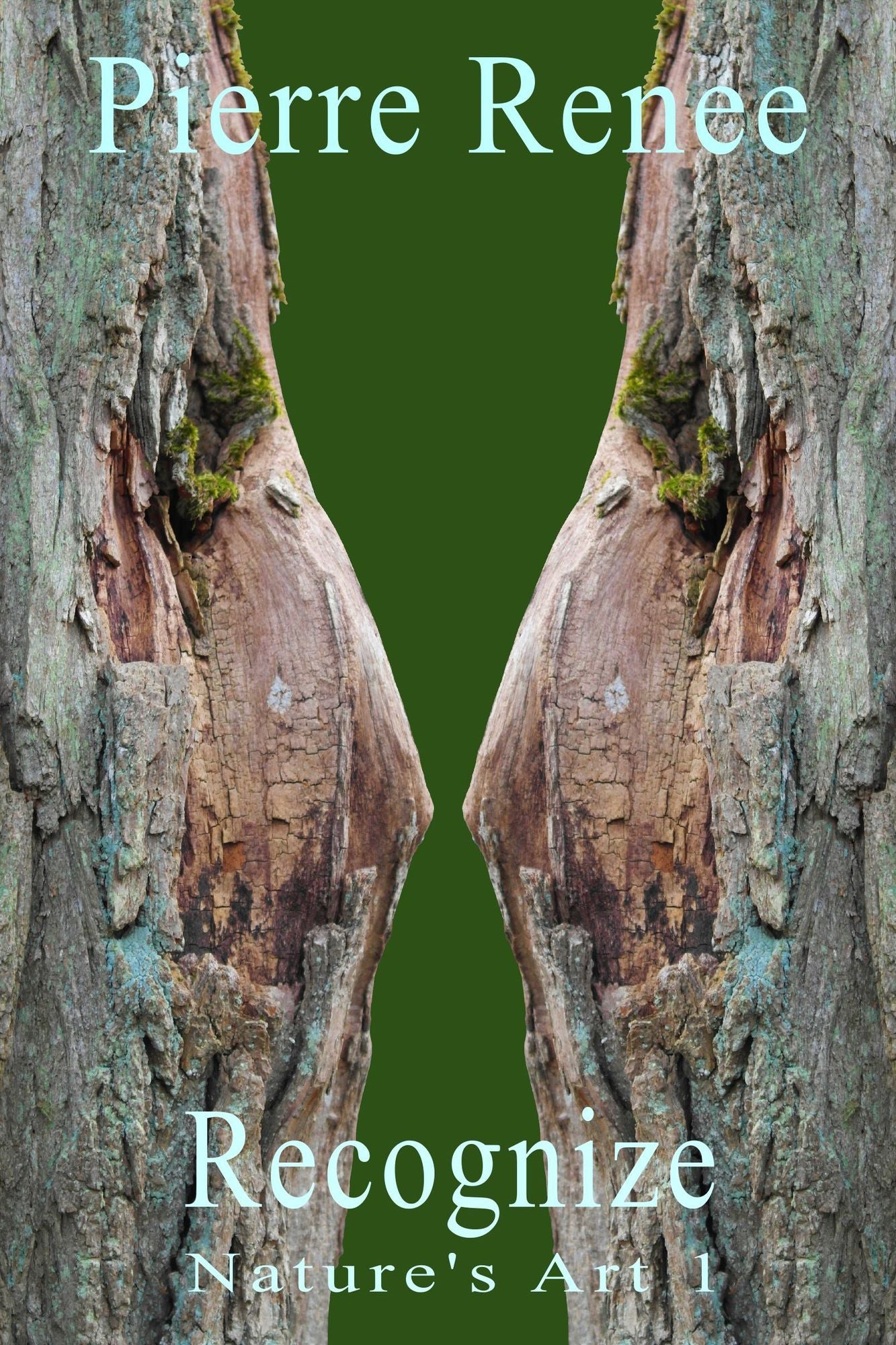Recognize (Nature's Art 1)
