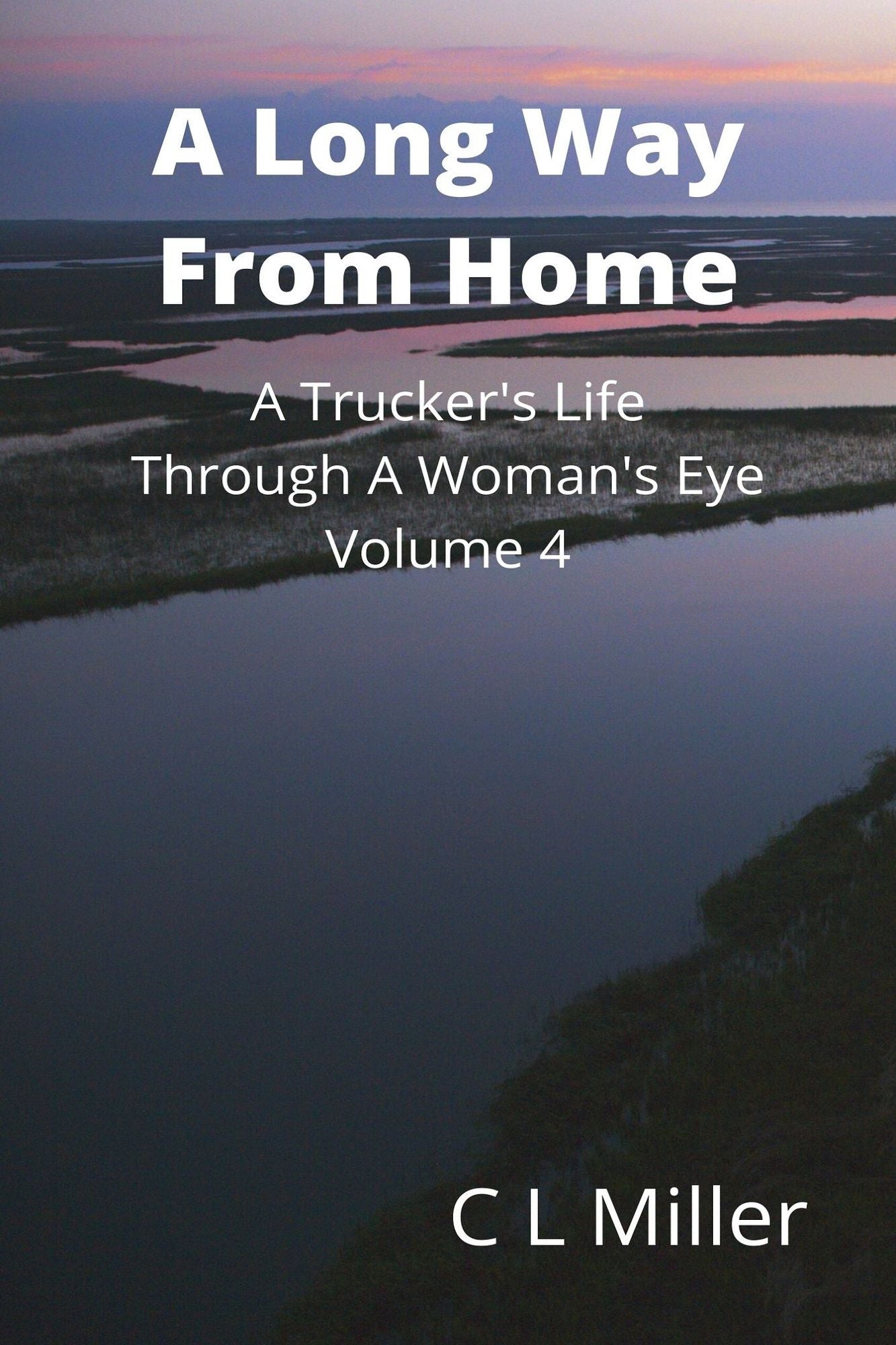 A Long Way From Home: A Trucker's Life Through A Woman's Eye Volume 4