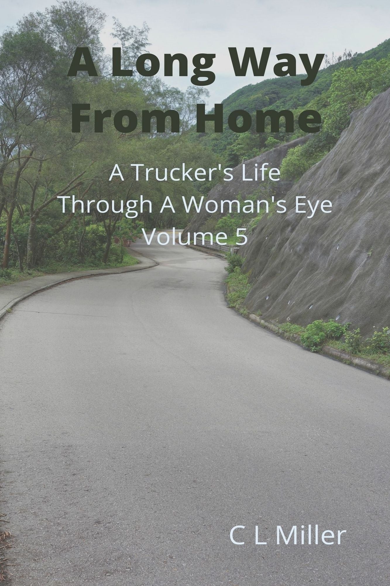A Long Way From Home: A Trucker's Life Through a Woman's Eye Volume 5