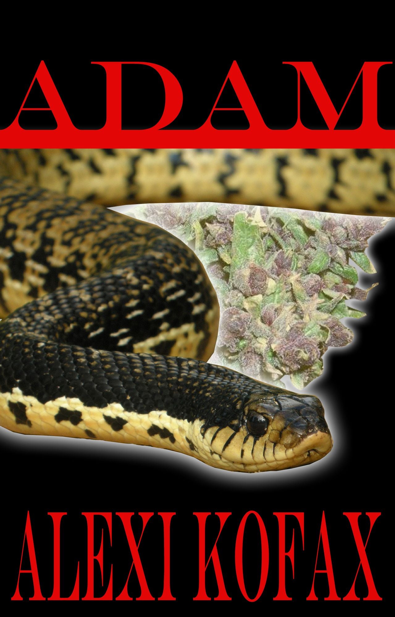Adam (Part 1 of the Purgatory Series)