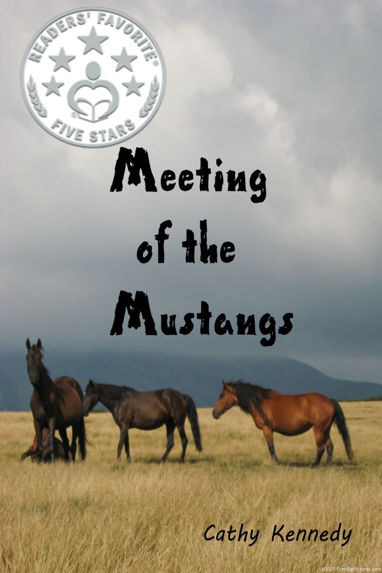 Meeting of the Mustangs