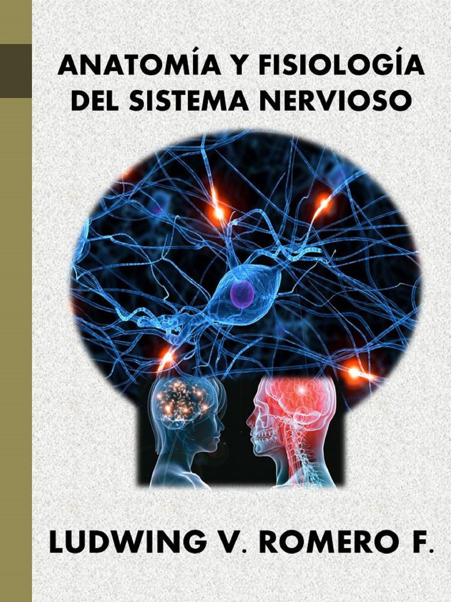 Anatomia y Fisiología del Sistema Nervioso II