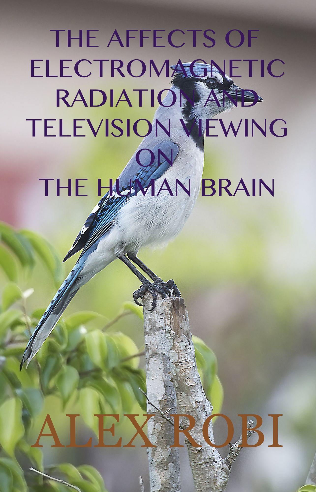 The Affects of Electromagnetic Radiation And Television Viewing On The Human Brain