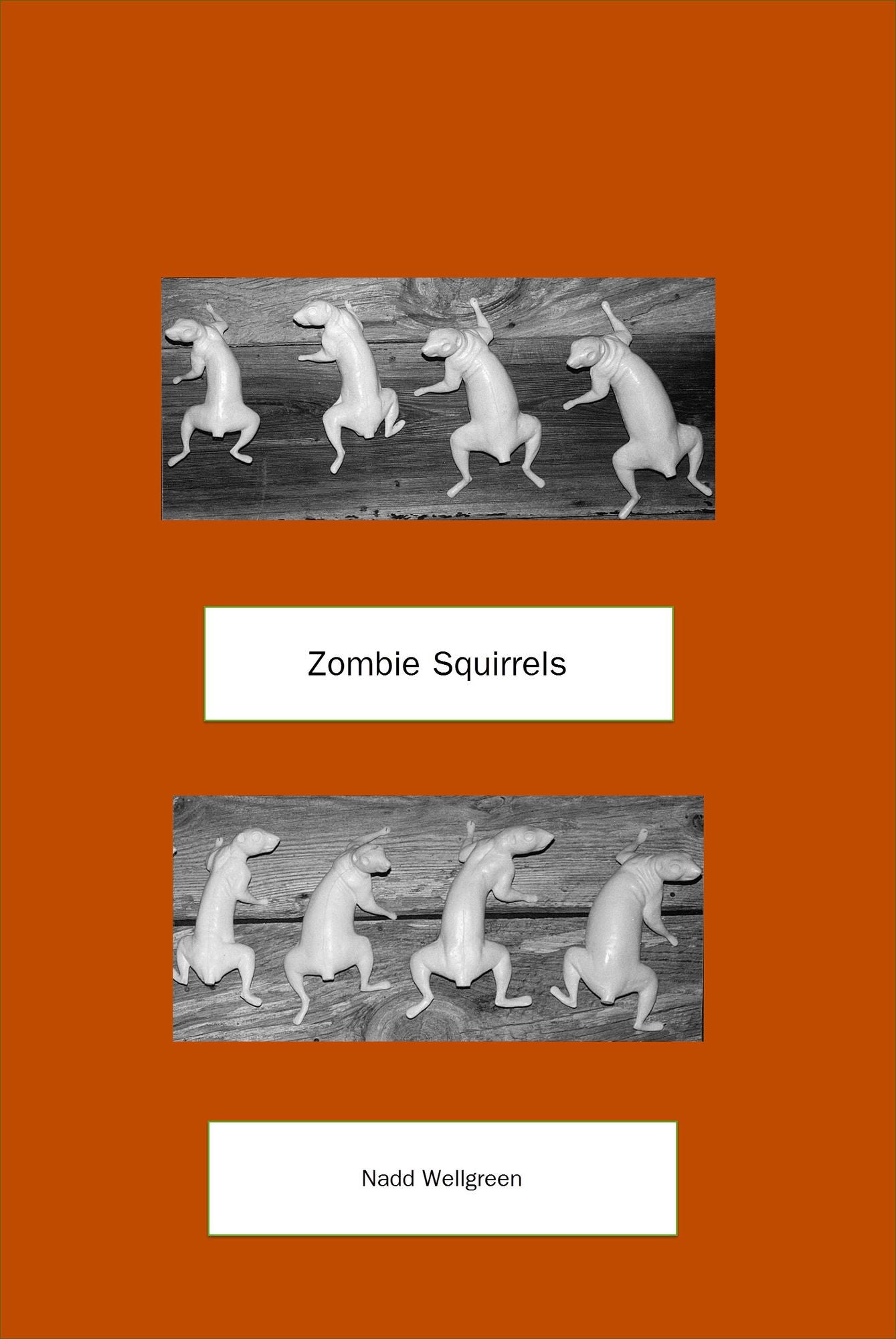Zombie Squirrels