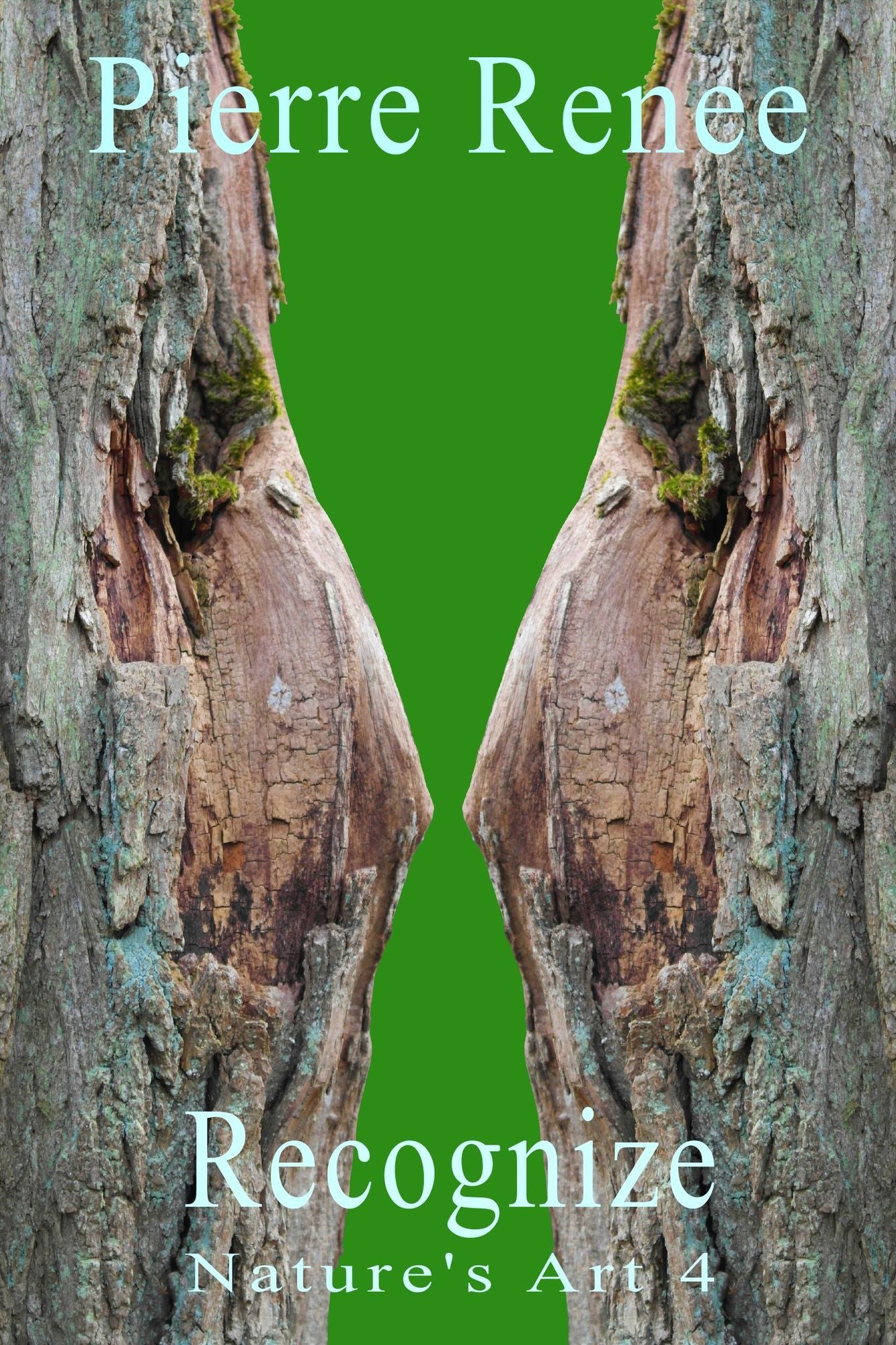 Recognize (Nature's Art 4)