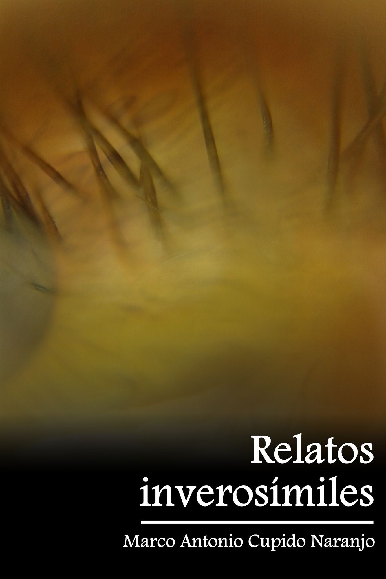 Relatos inverosímiles