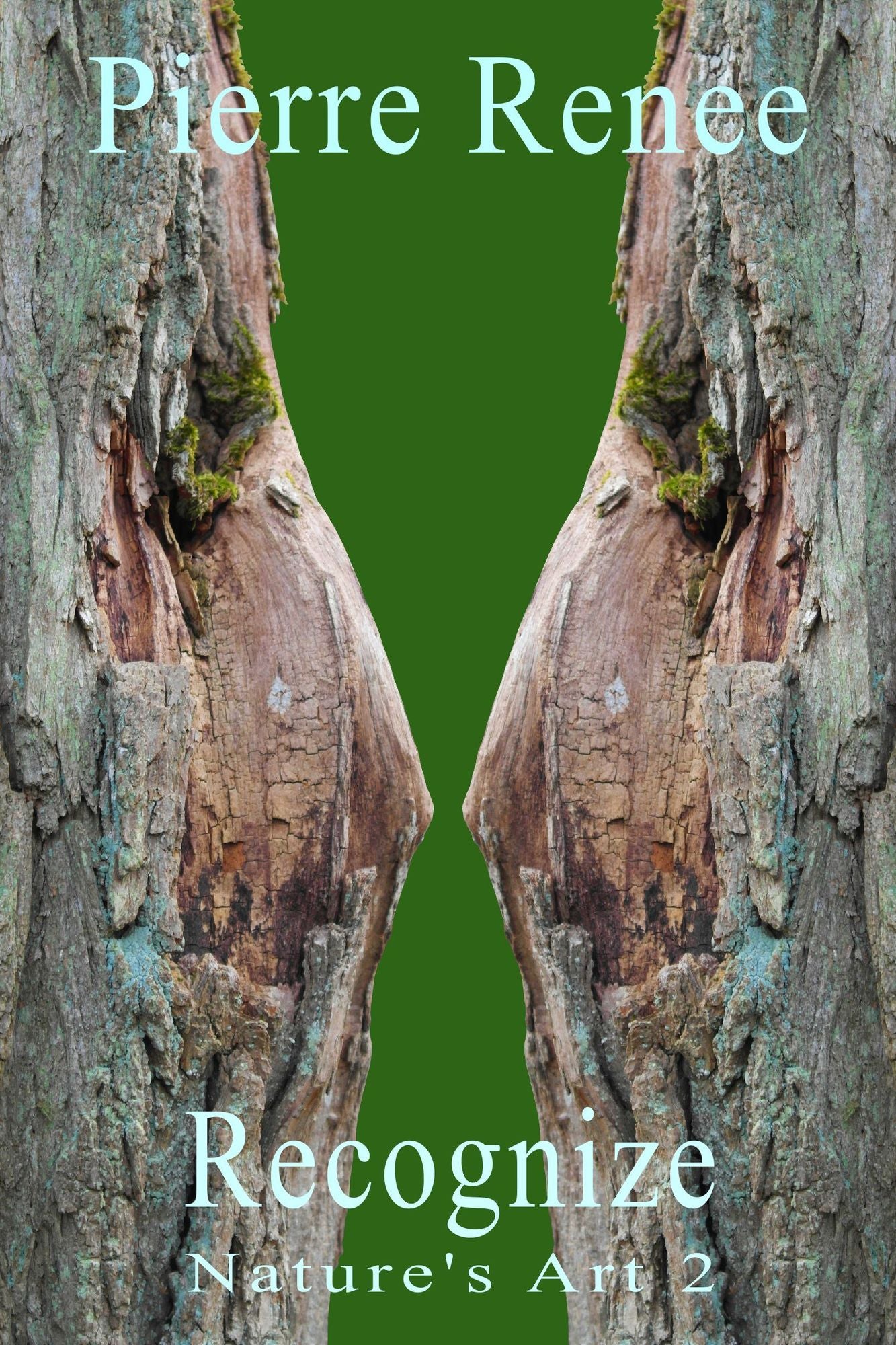 Recognize (Nature's Art 2)