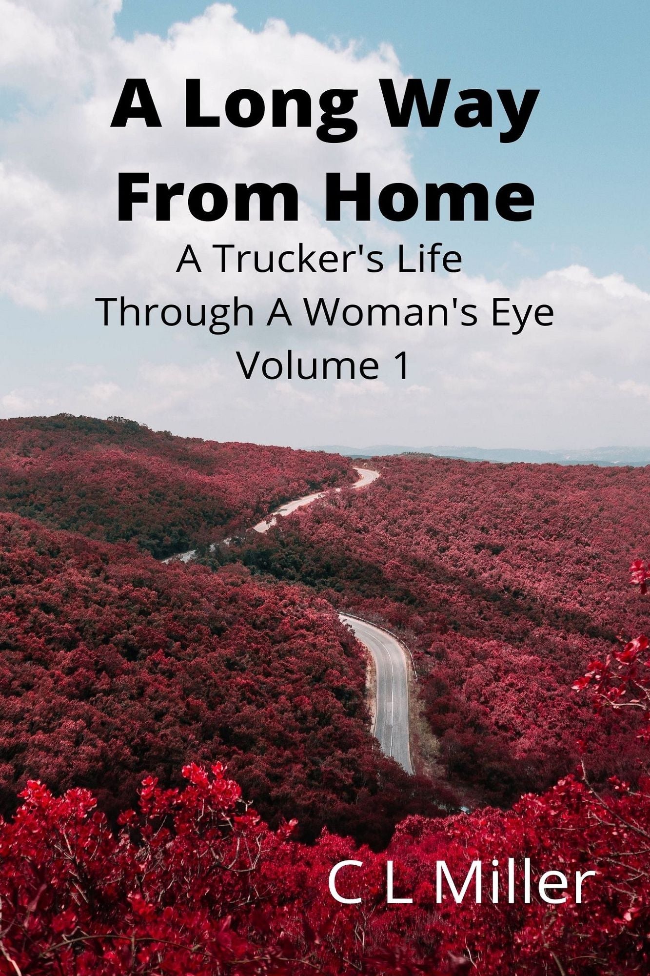 A Long Way From Home: A Trucker's Life Through A Woman's Eye