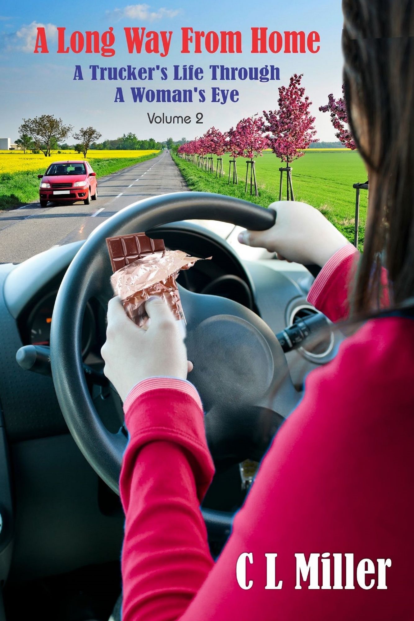 A Long Way From Home: A Trucker's Life Through A Woman's Eye Volume 2