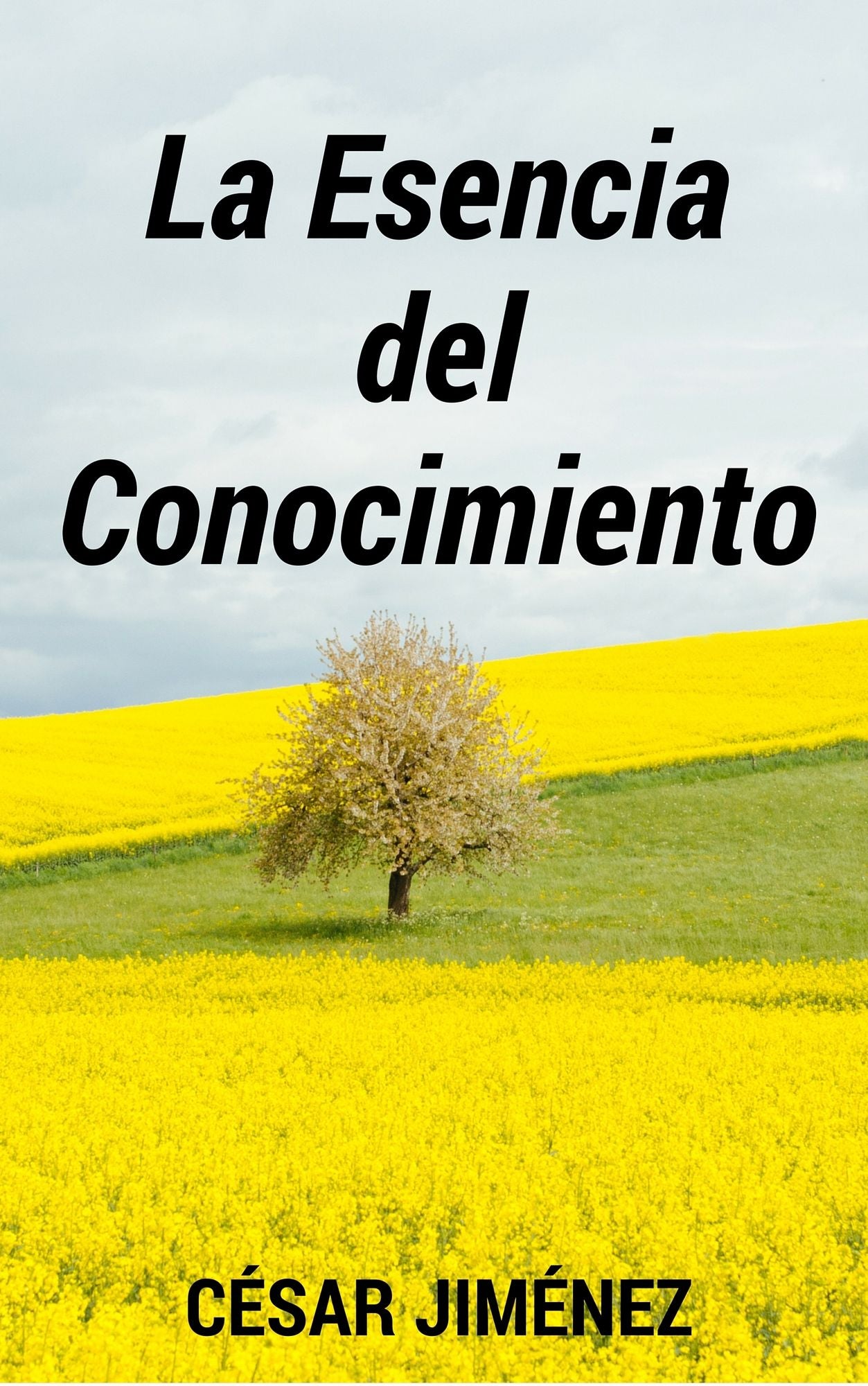 La Esencia del Conocimiento