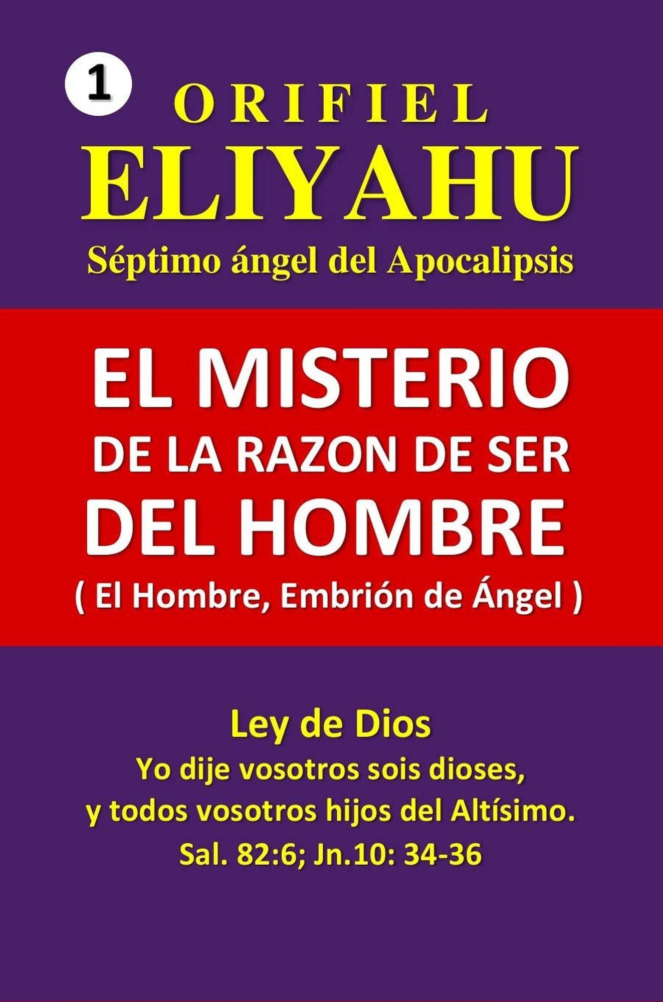 El Misterio de la Razón de Ser del Hombre (El Hombre, Embrión de Ángel)