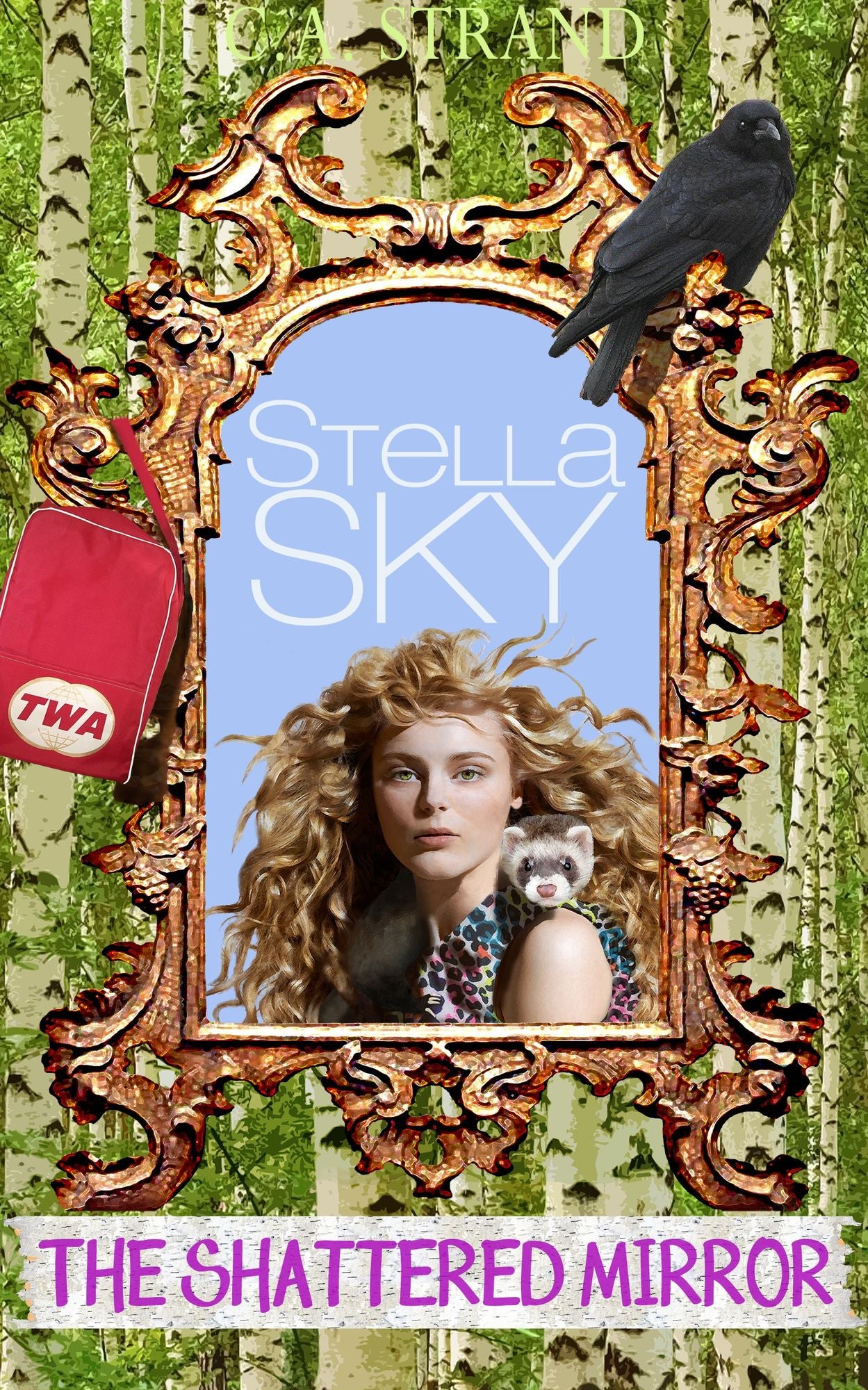 Stella Sky: The Shattered Mirror