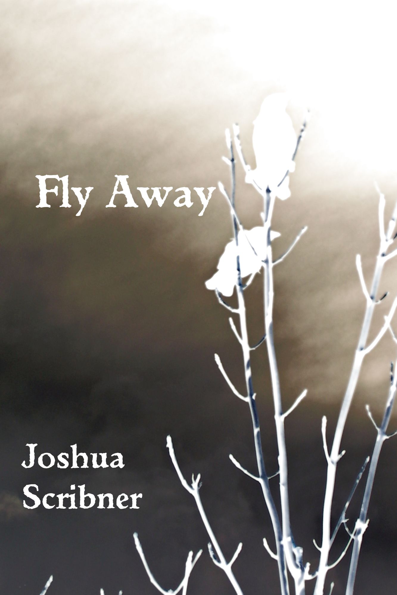 Fly Away