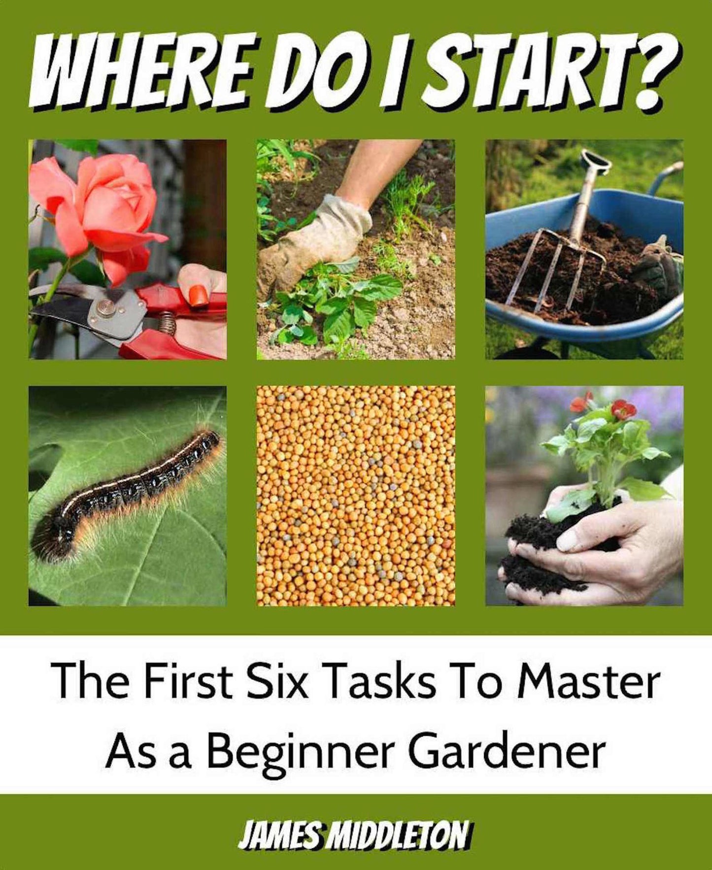Where Do I Start?: The First Six Tasks To Master As A Beginner Gardener