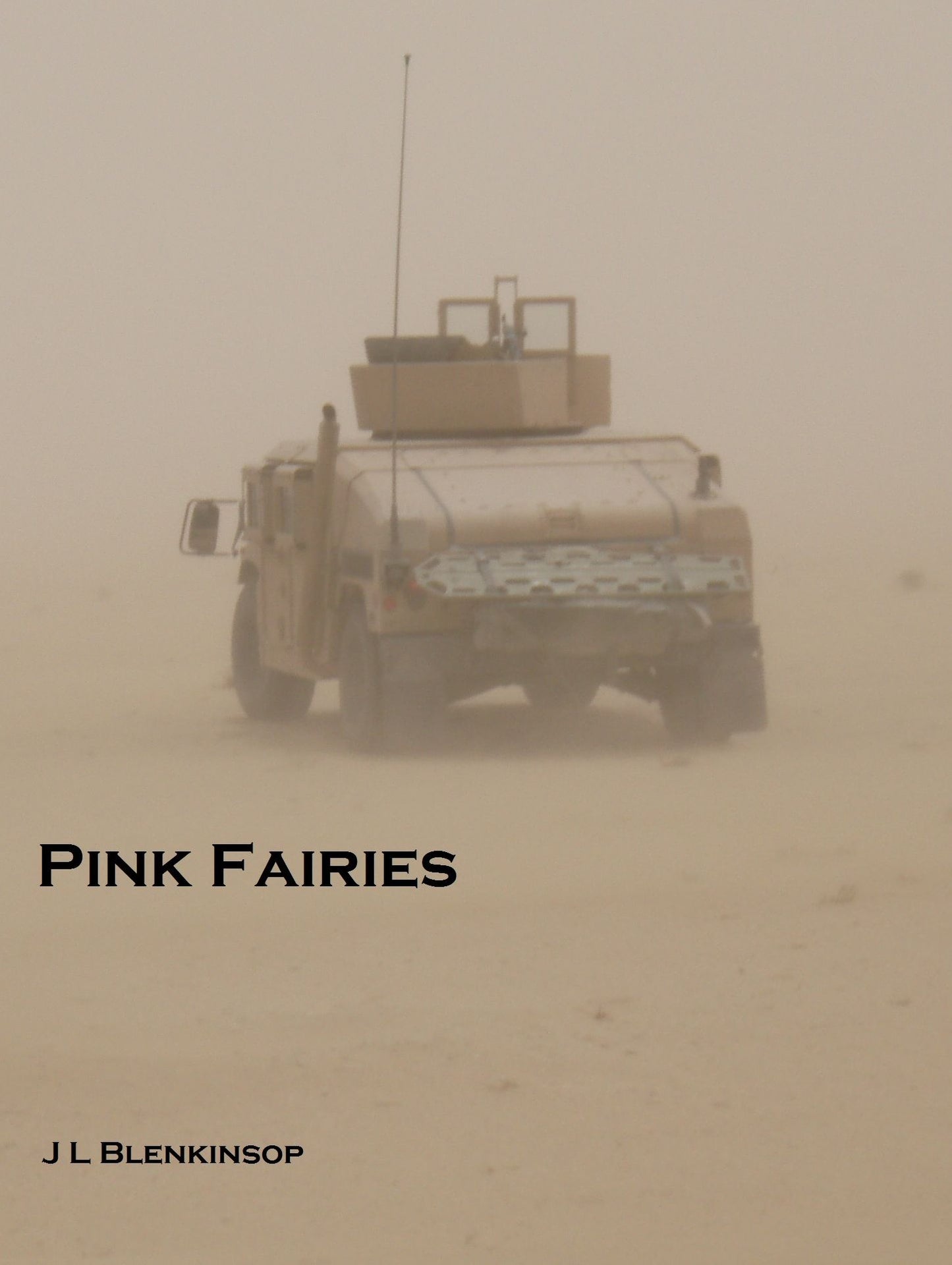 Pink Fairies