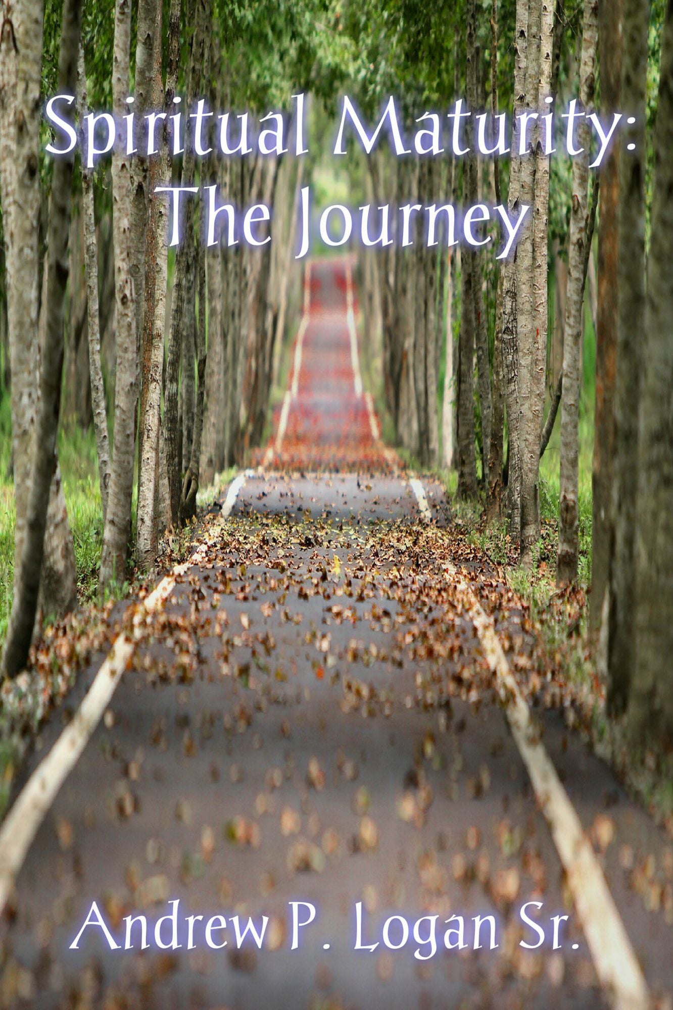 Spiritual Maturity: The Journey