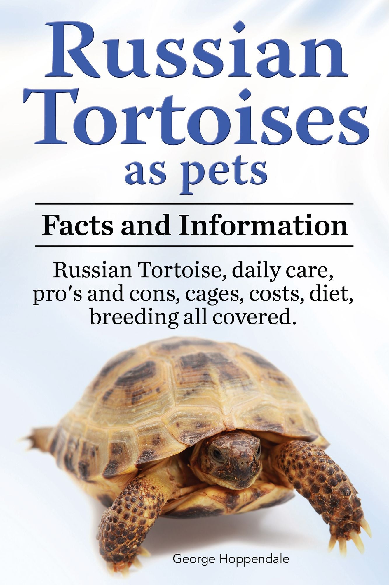 Russian Tortoises as pets. Facts and information. Russian Tortoise daily care, pro's and cons, cages, costs, diet, breeding all covered.