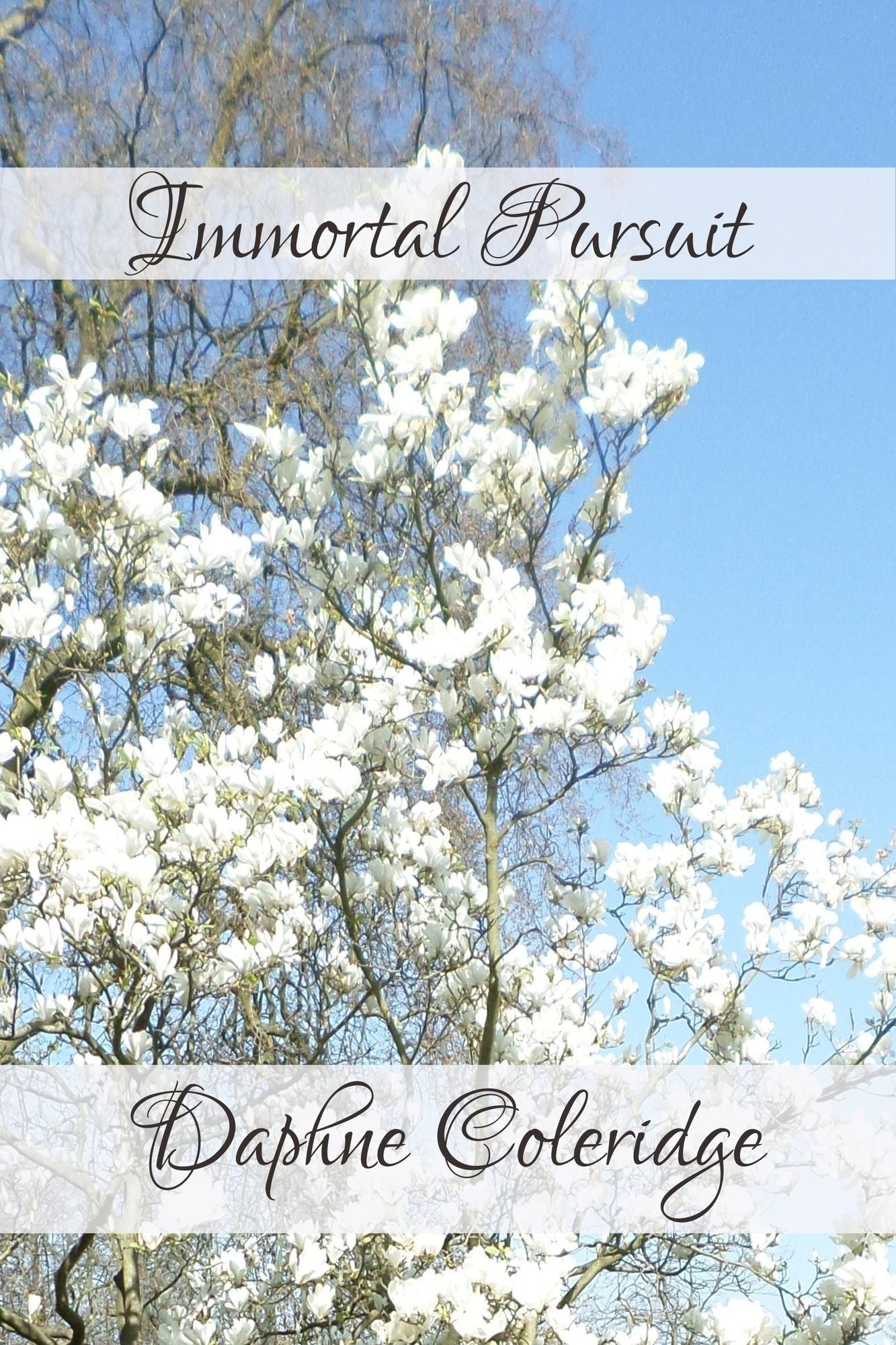Immortal Pursuit